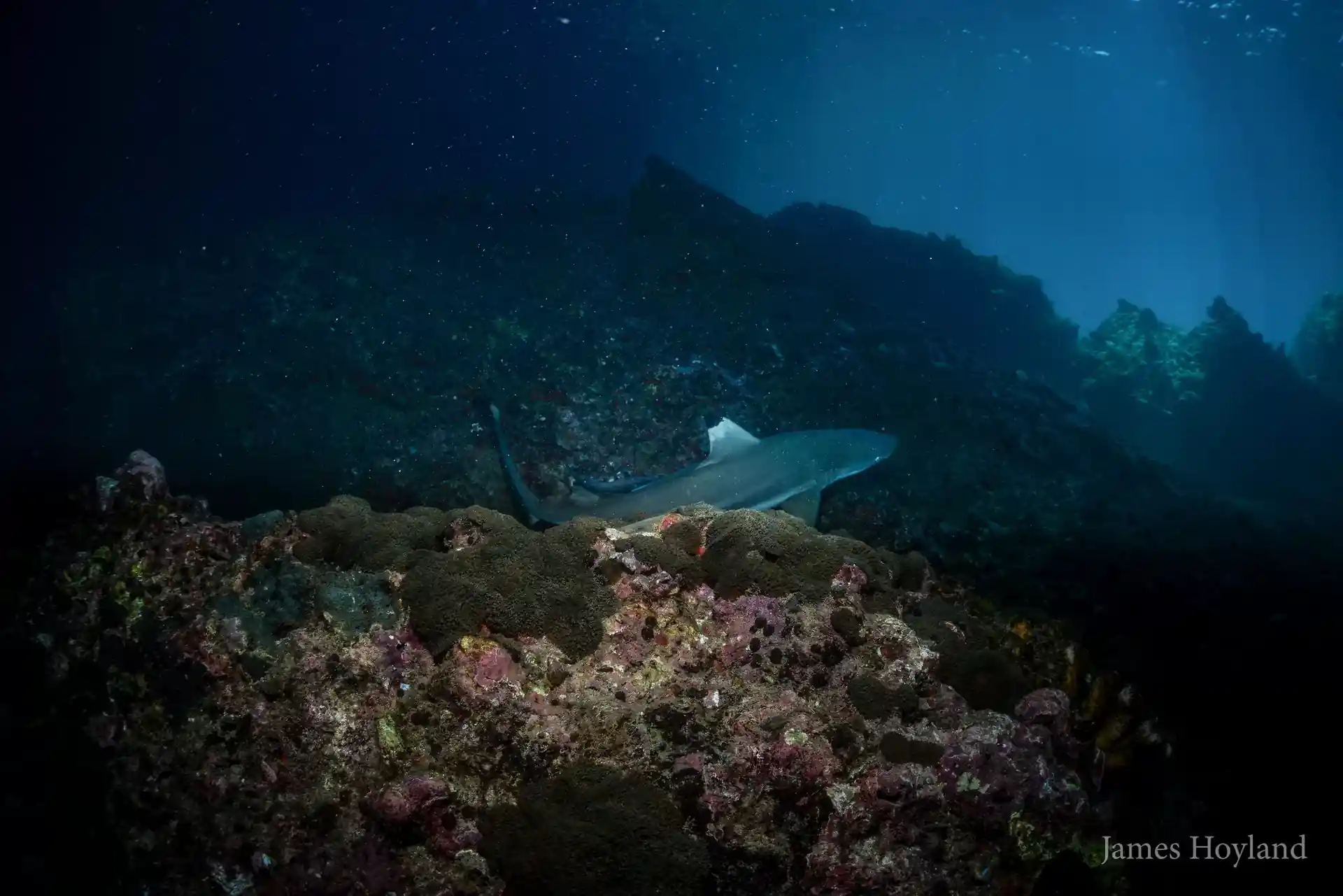 다이빙 포인트 사진