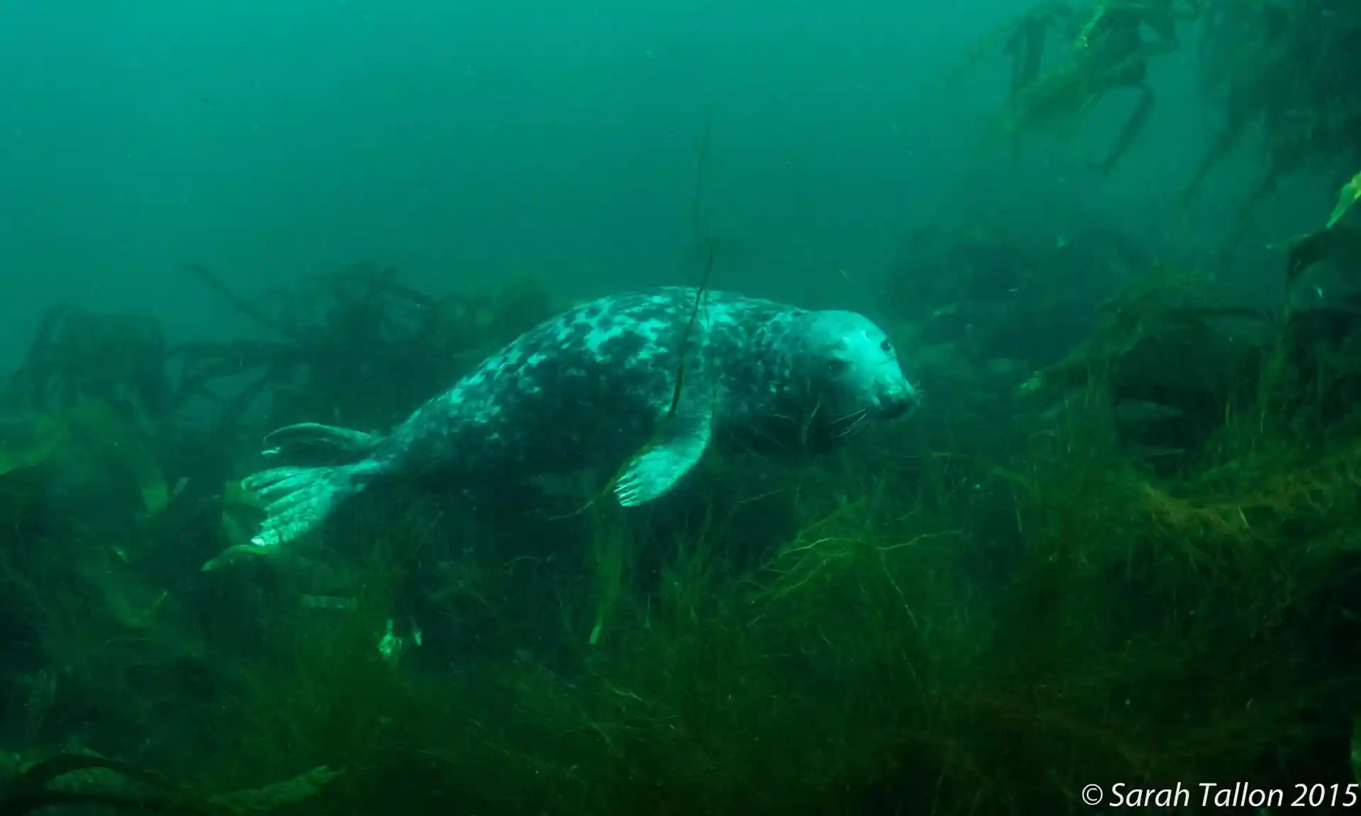 다이빙 포인트 사진