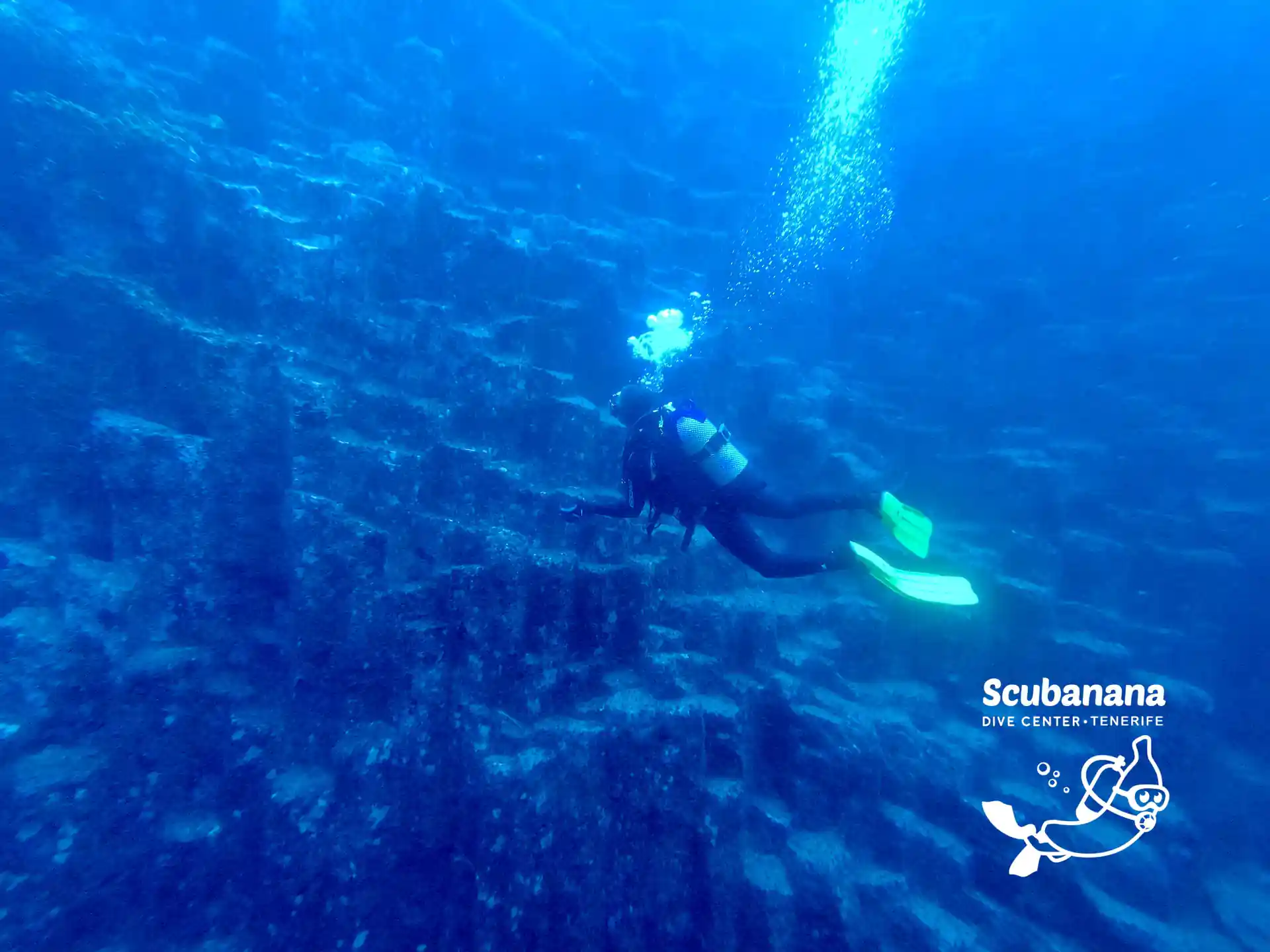 Photo de l'activité