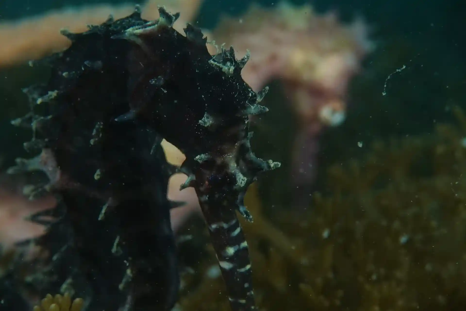 Foto de la actividad