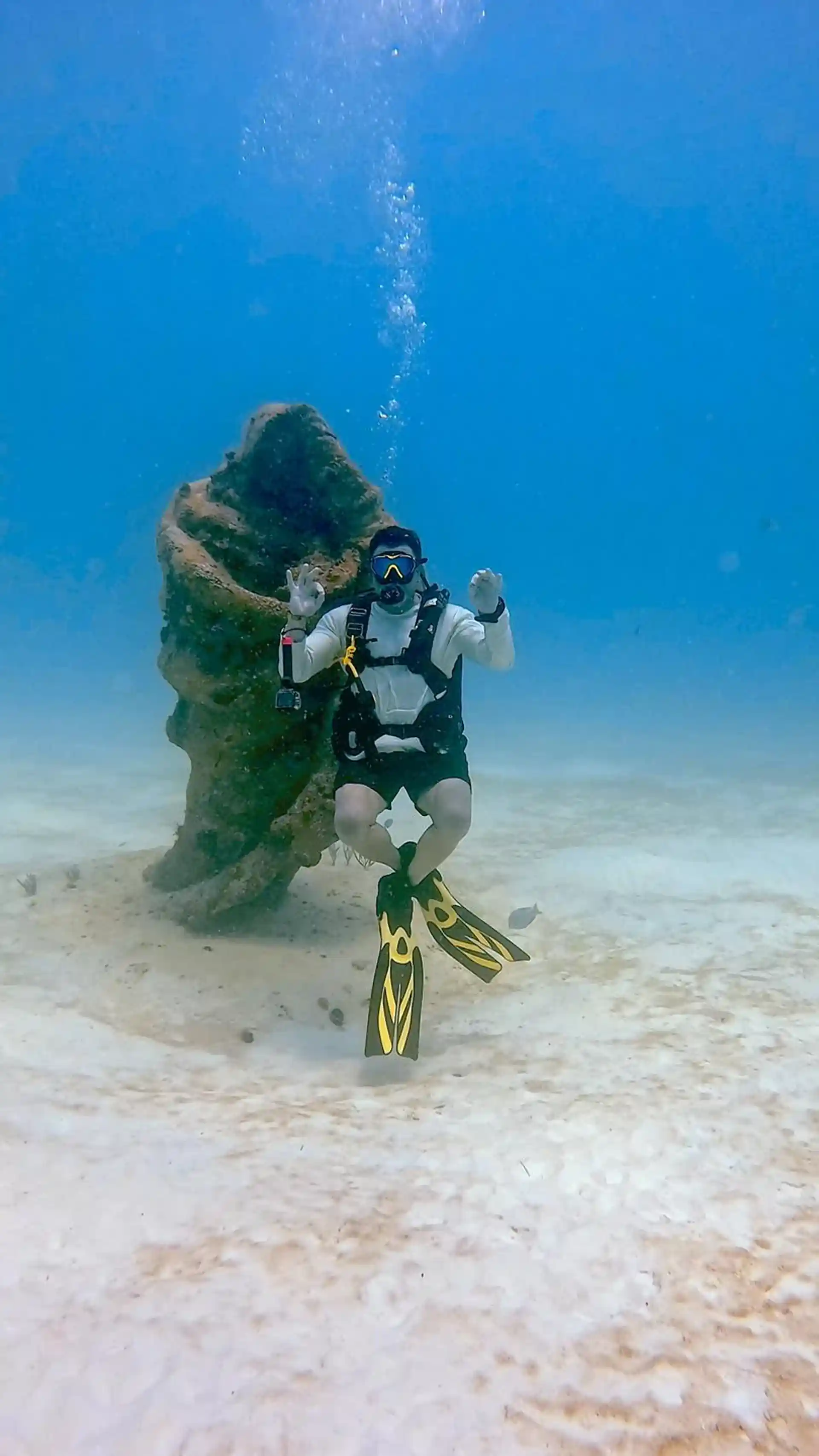 ダイビングサイトの写真