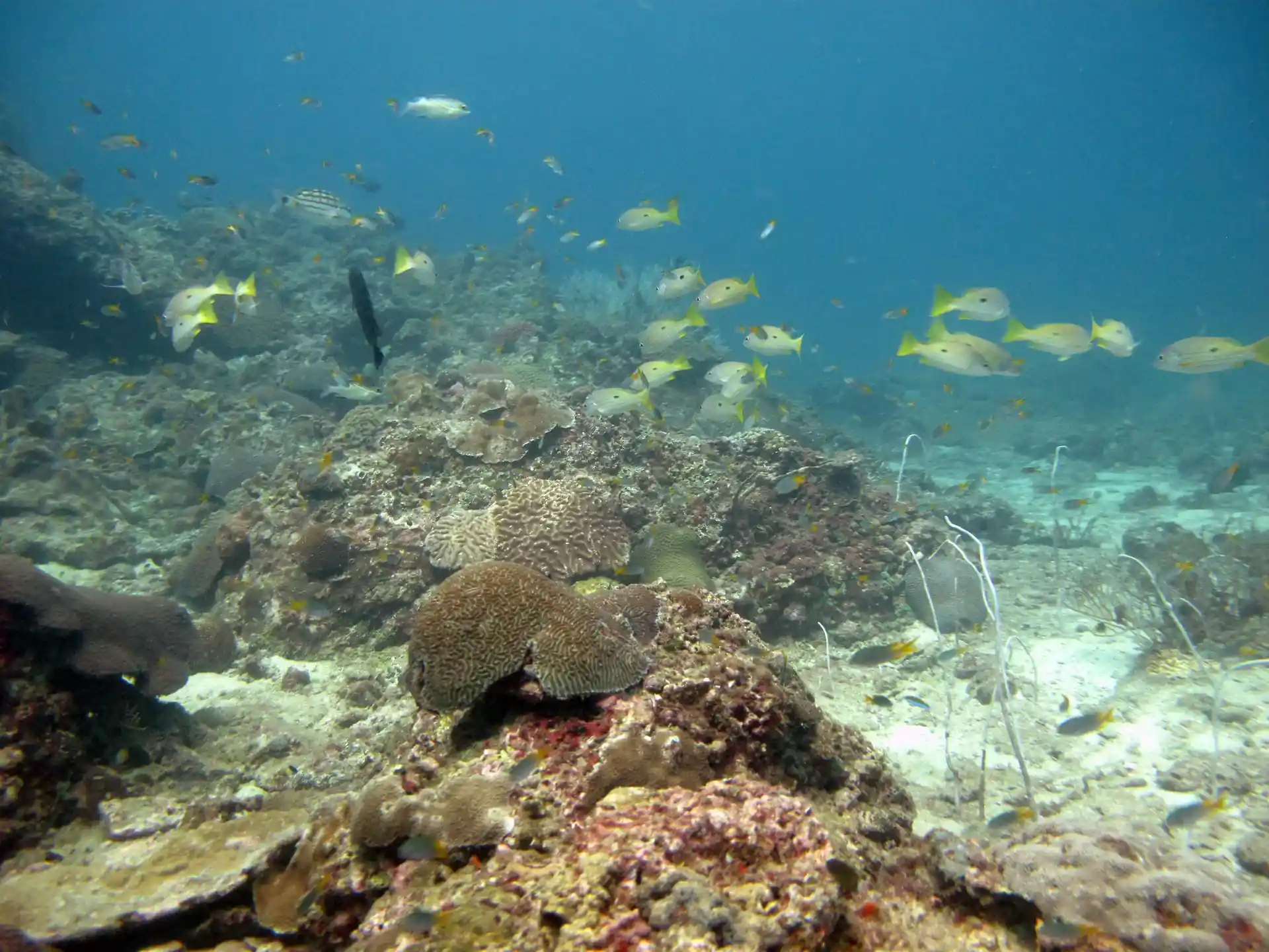 다이빙 포인트 사진