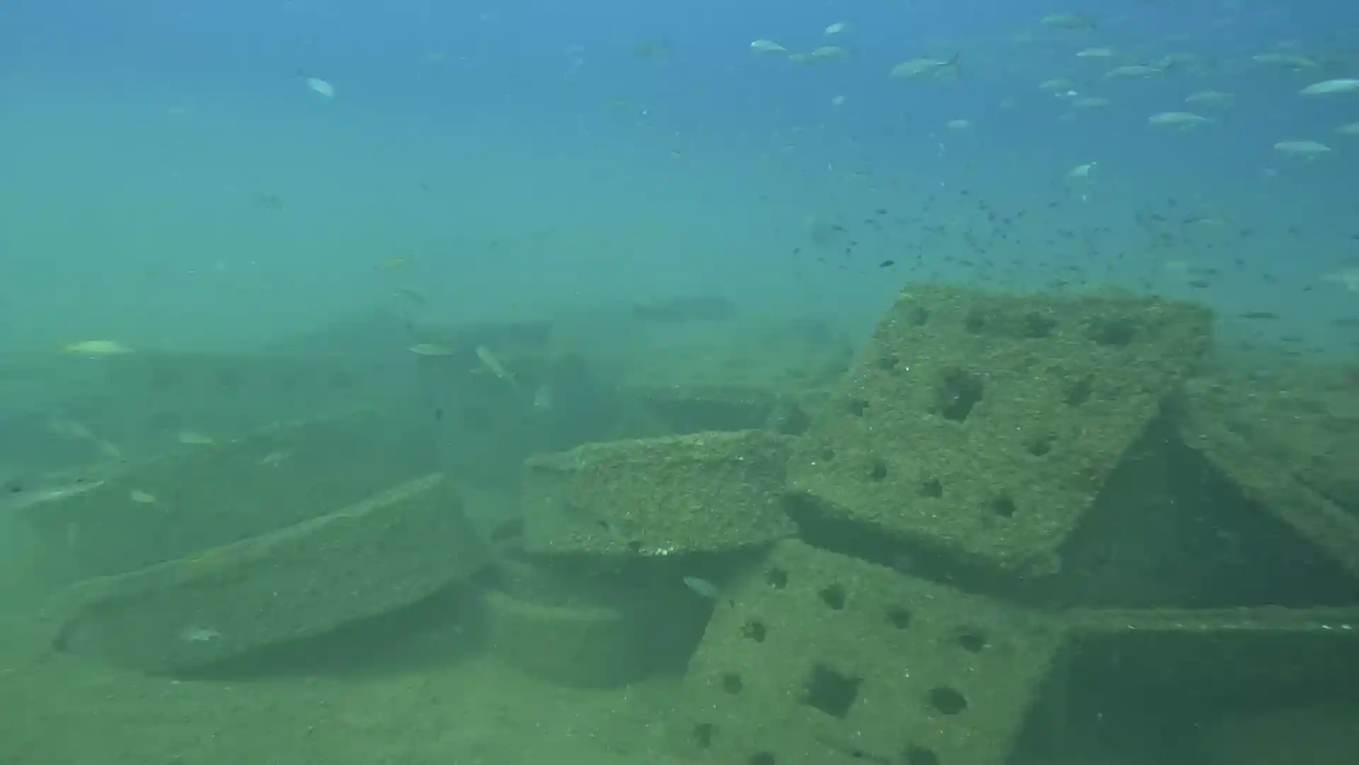 Dive site photo
