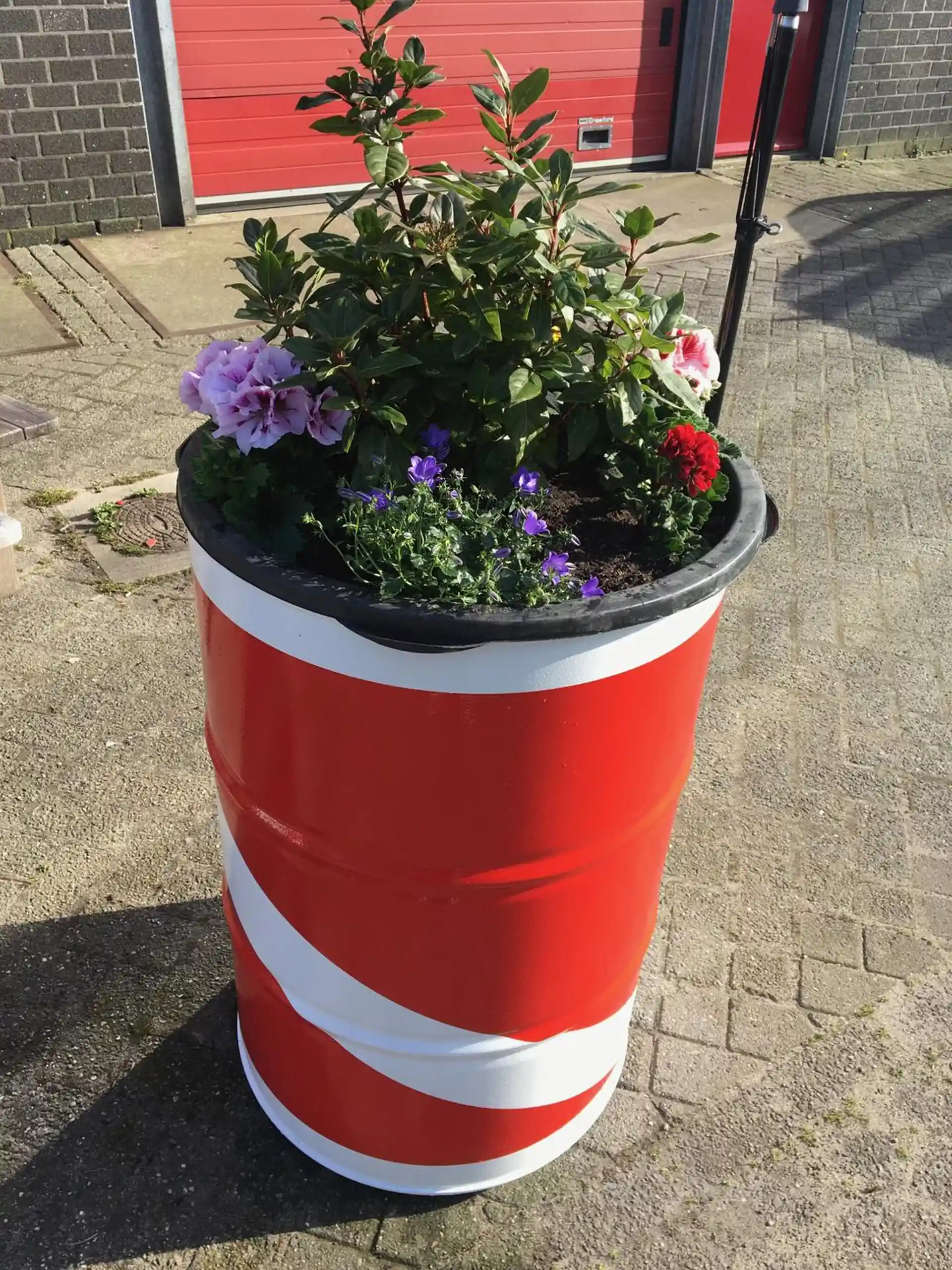 Duikwinkel foto
