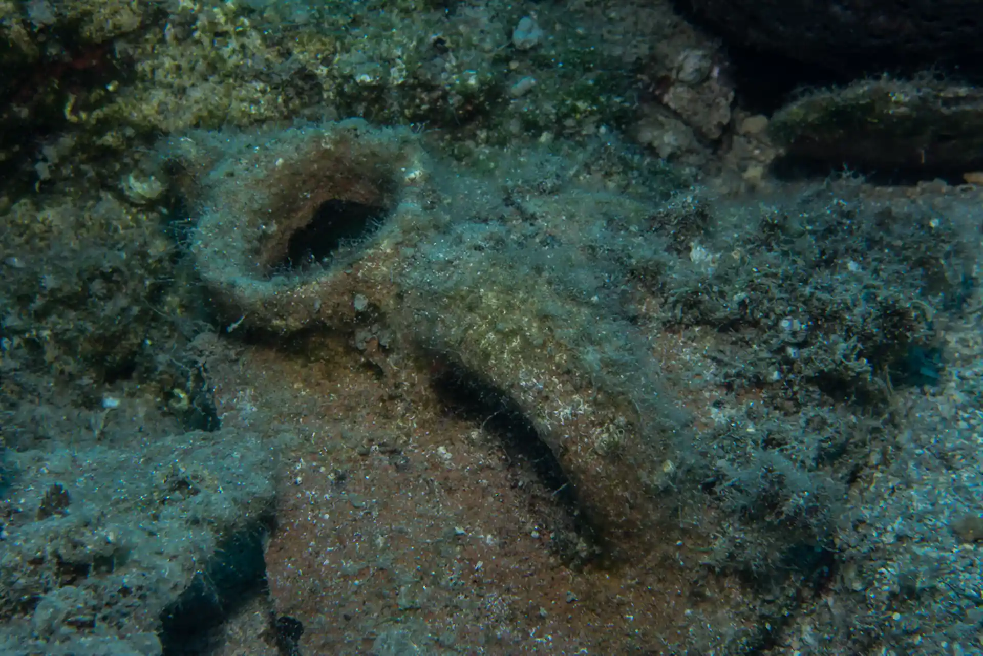 다이빙 포인트 사진