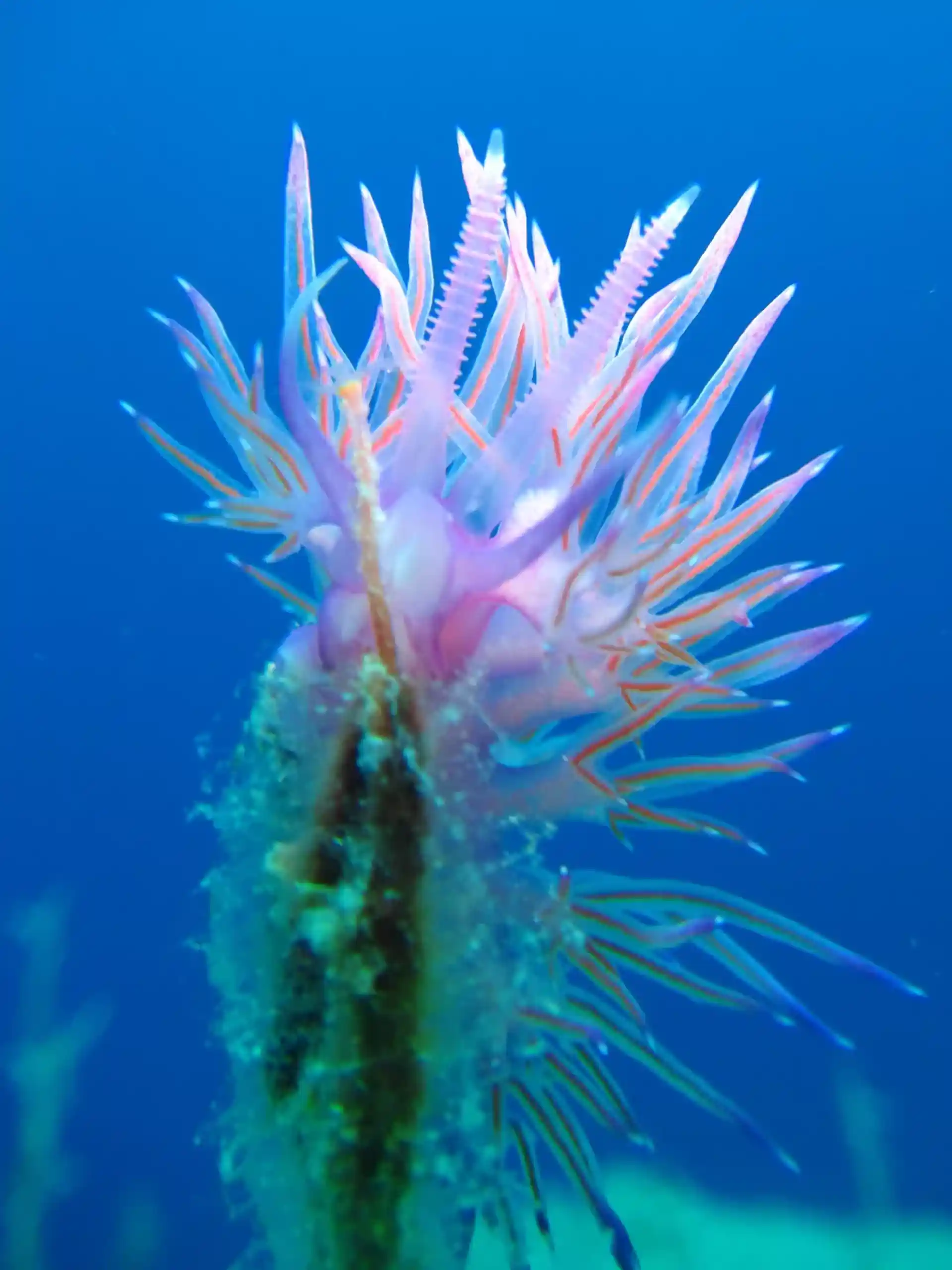 Dive site photo