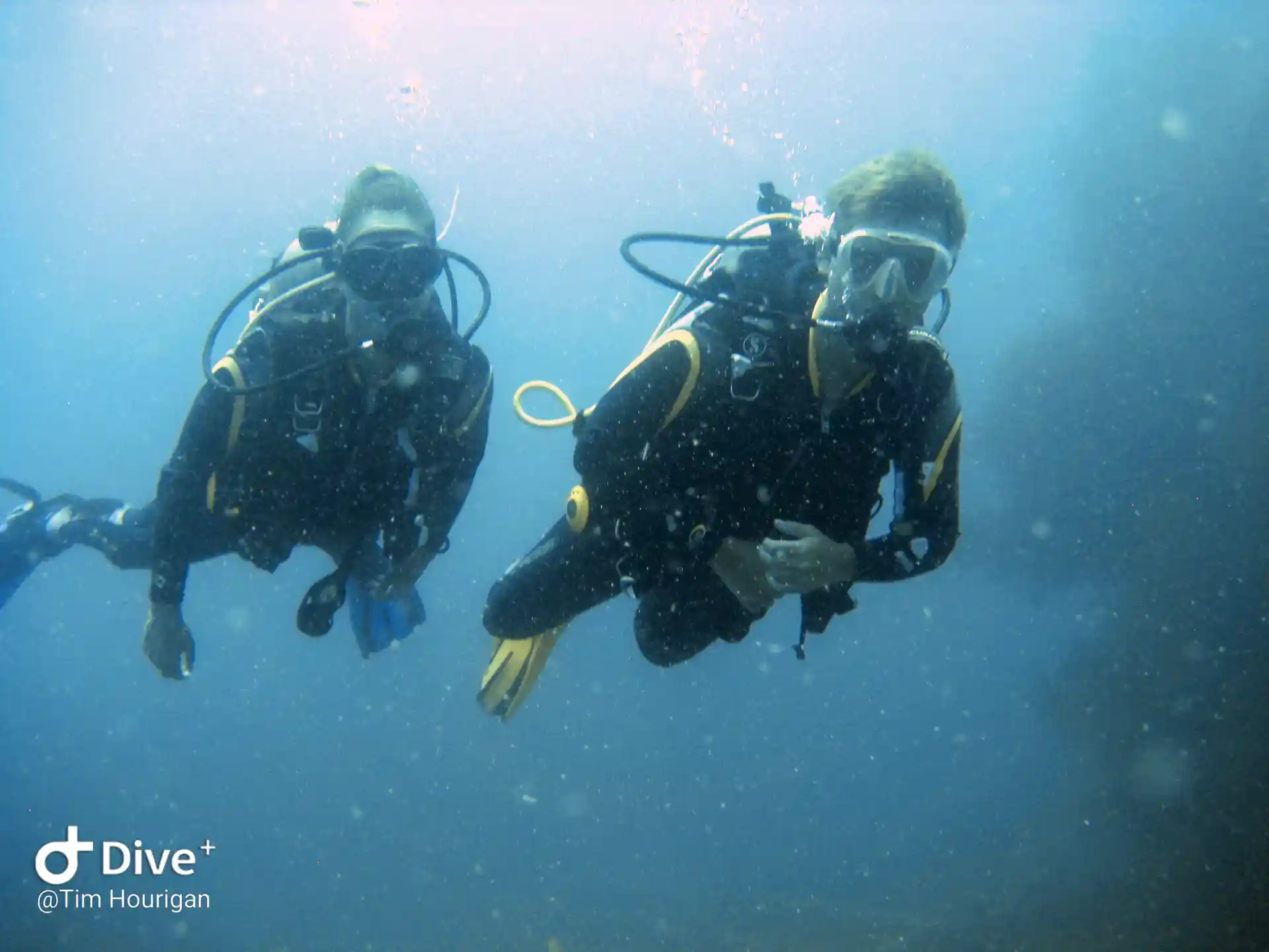 Dive shop photo