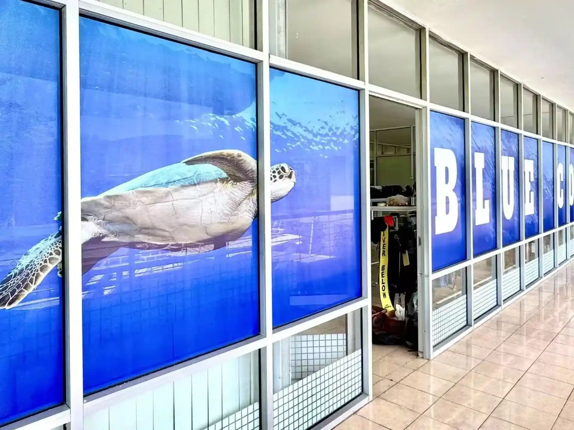 Dive shop photo