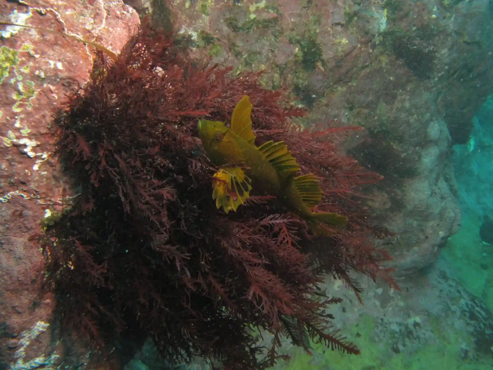 Dive site photo