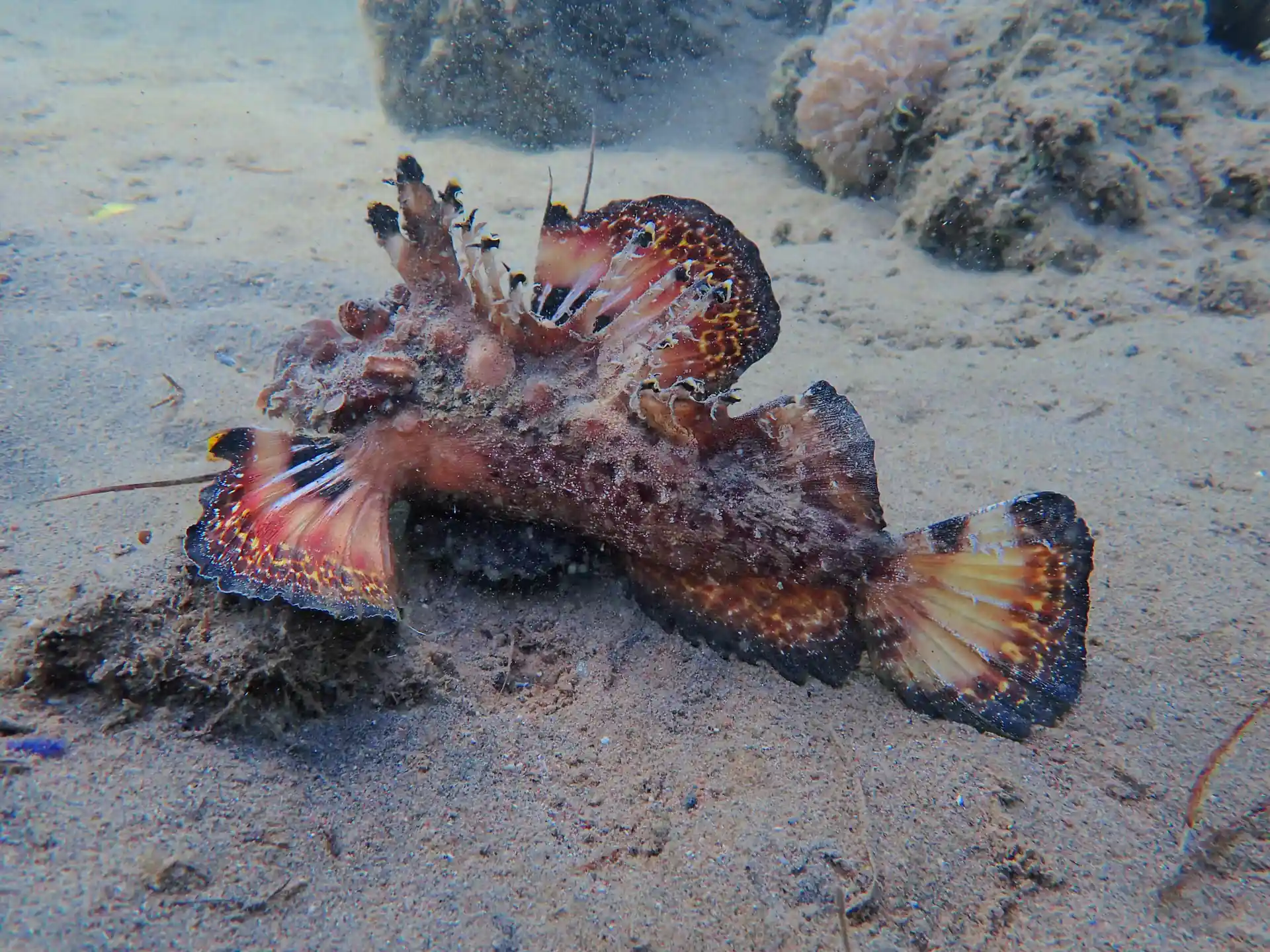 Dive shop photo