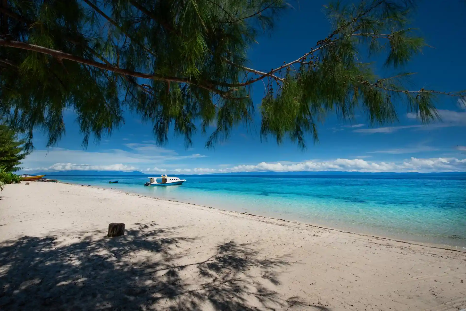 Dive shop photo