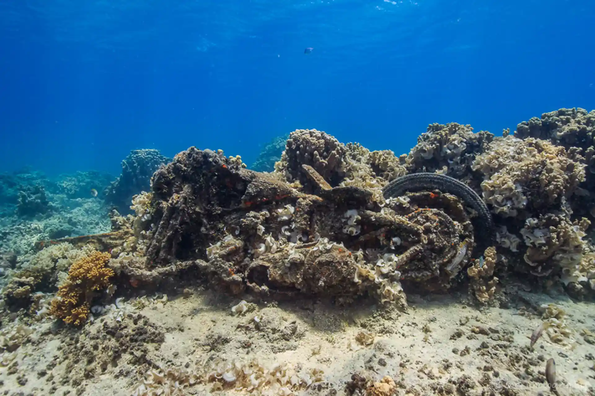 Photo du site de plongée