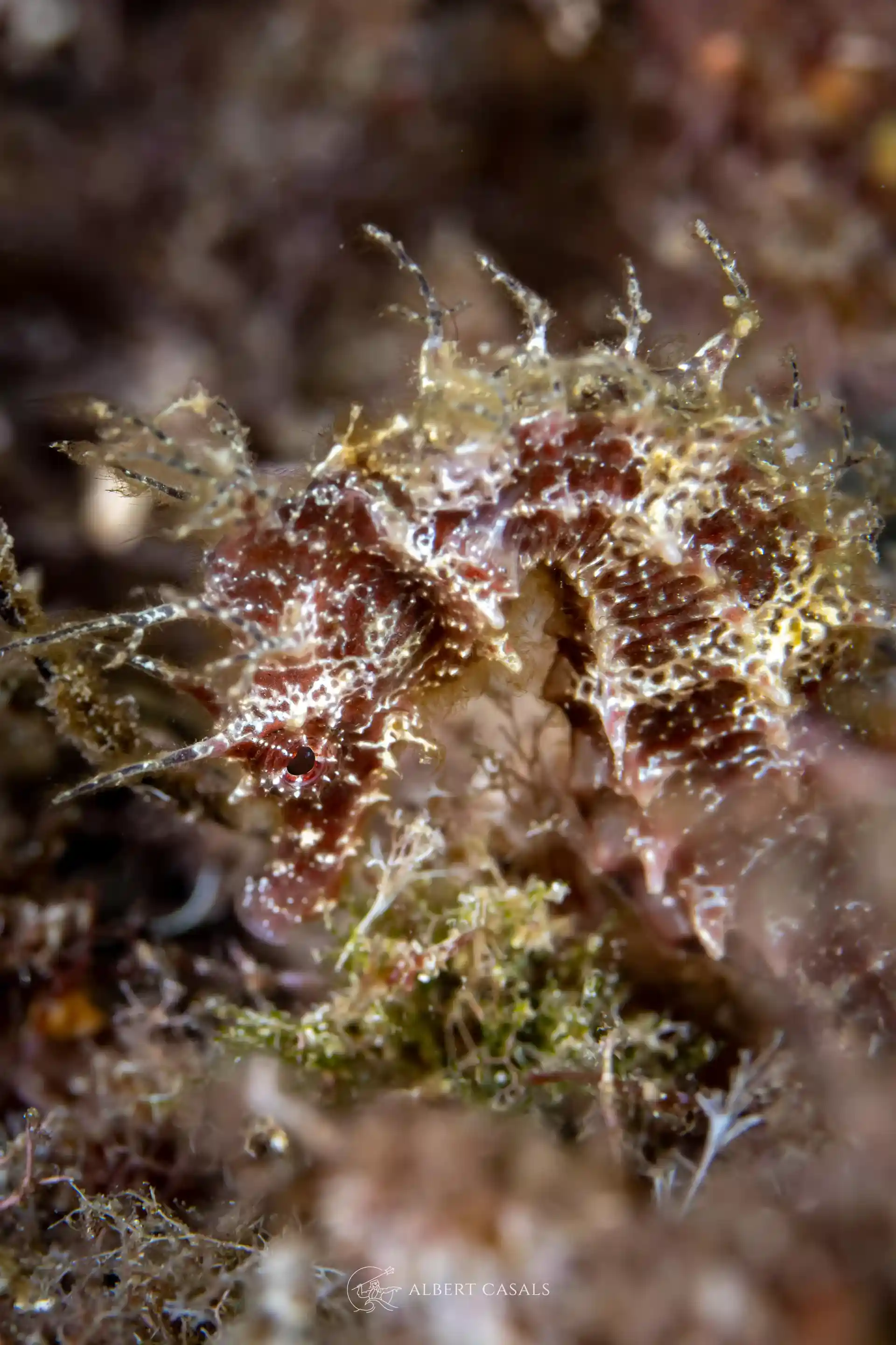 Foto de la actividad