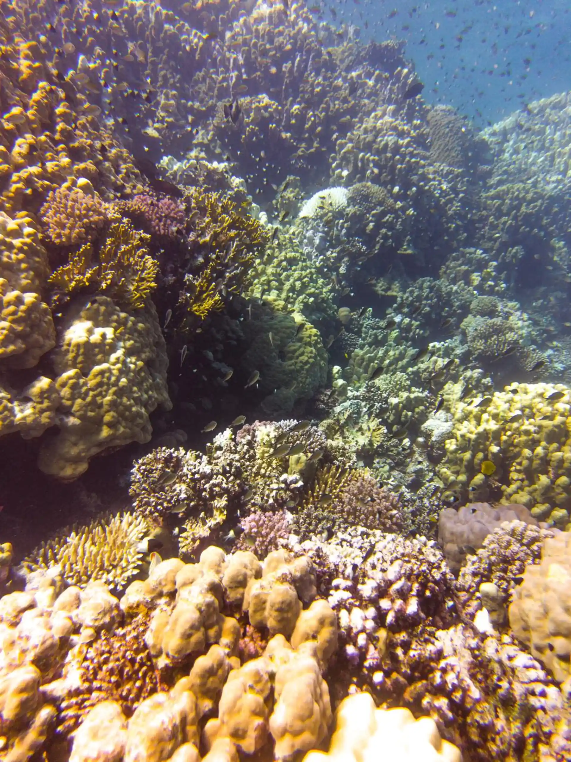 다이빙 포인트 사진