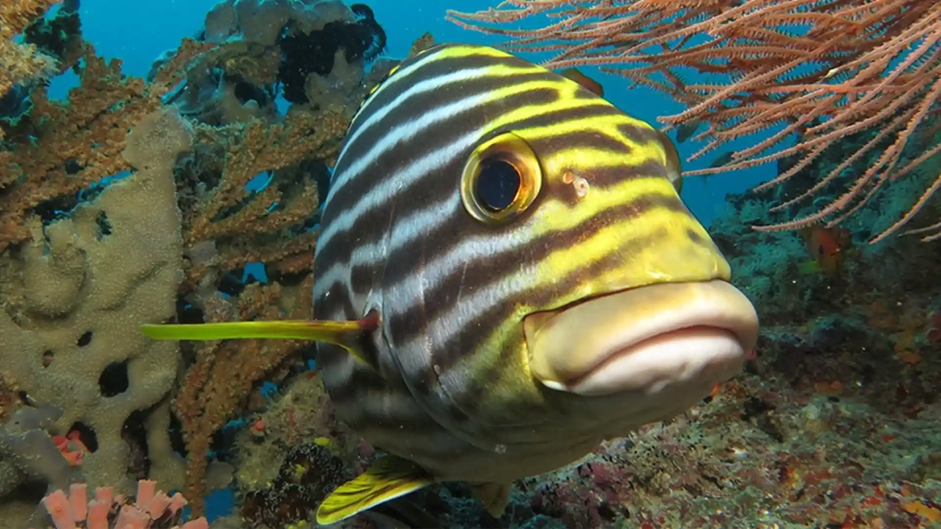 Dive shop photo