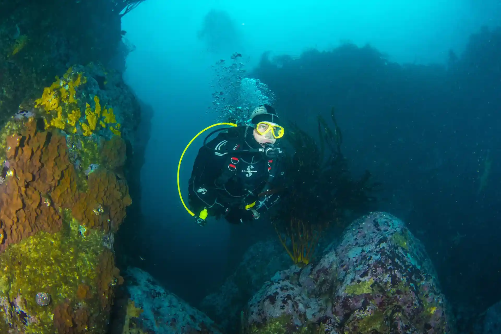 다이빙 포인트 사진