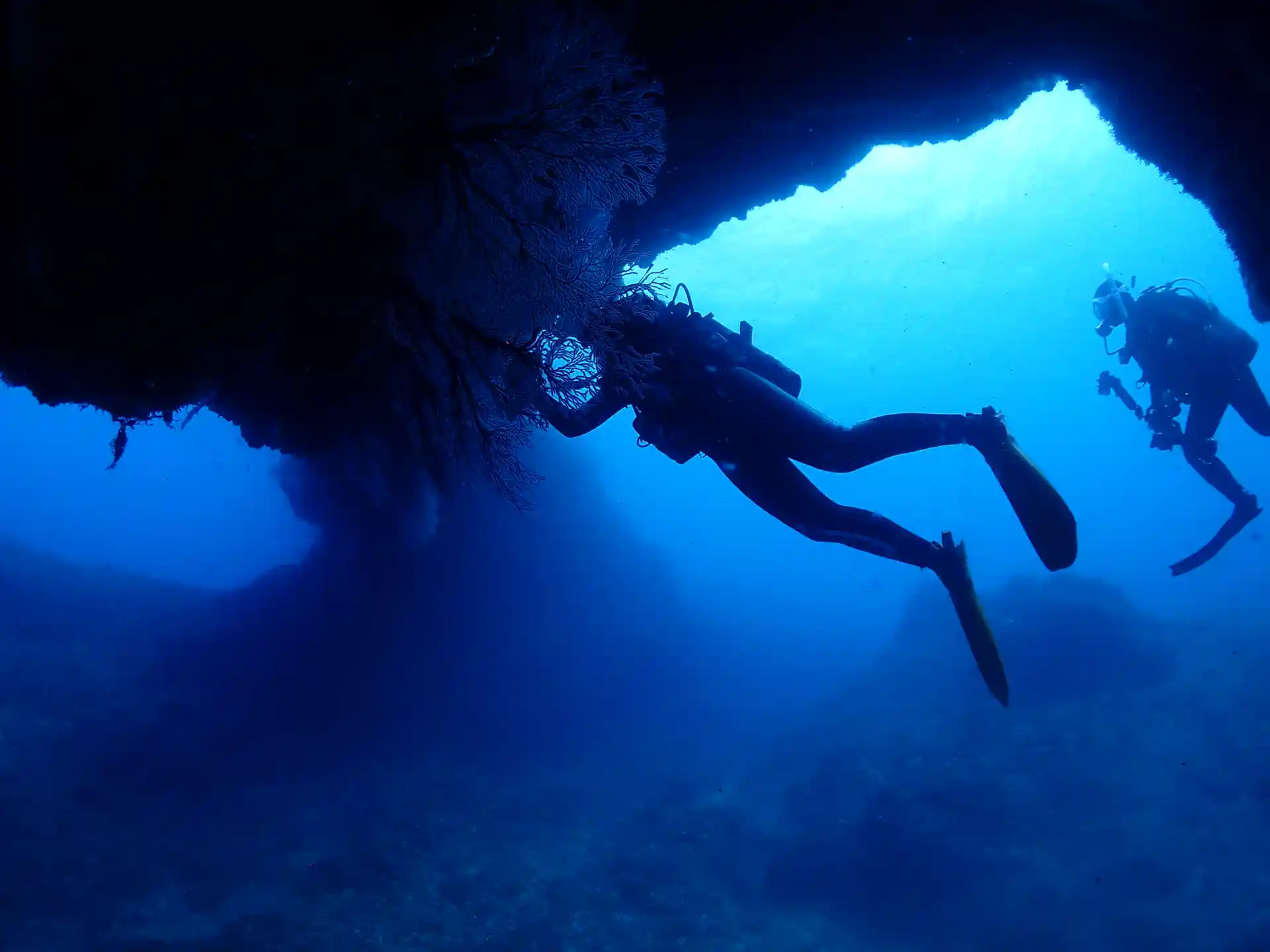 Dive shop photo