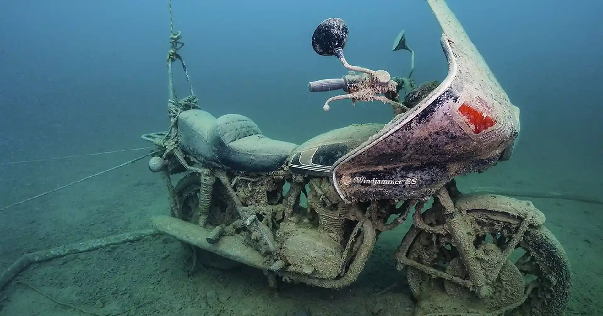 Photo du site de plongée