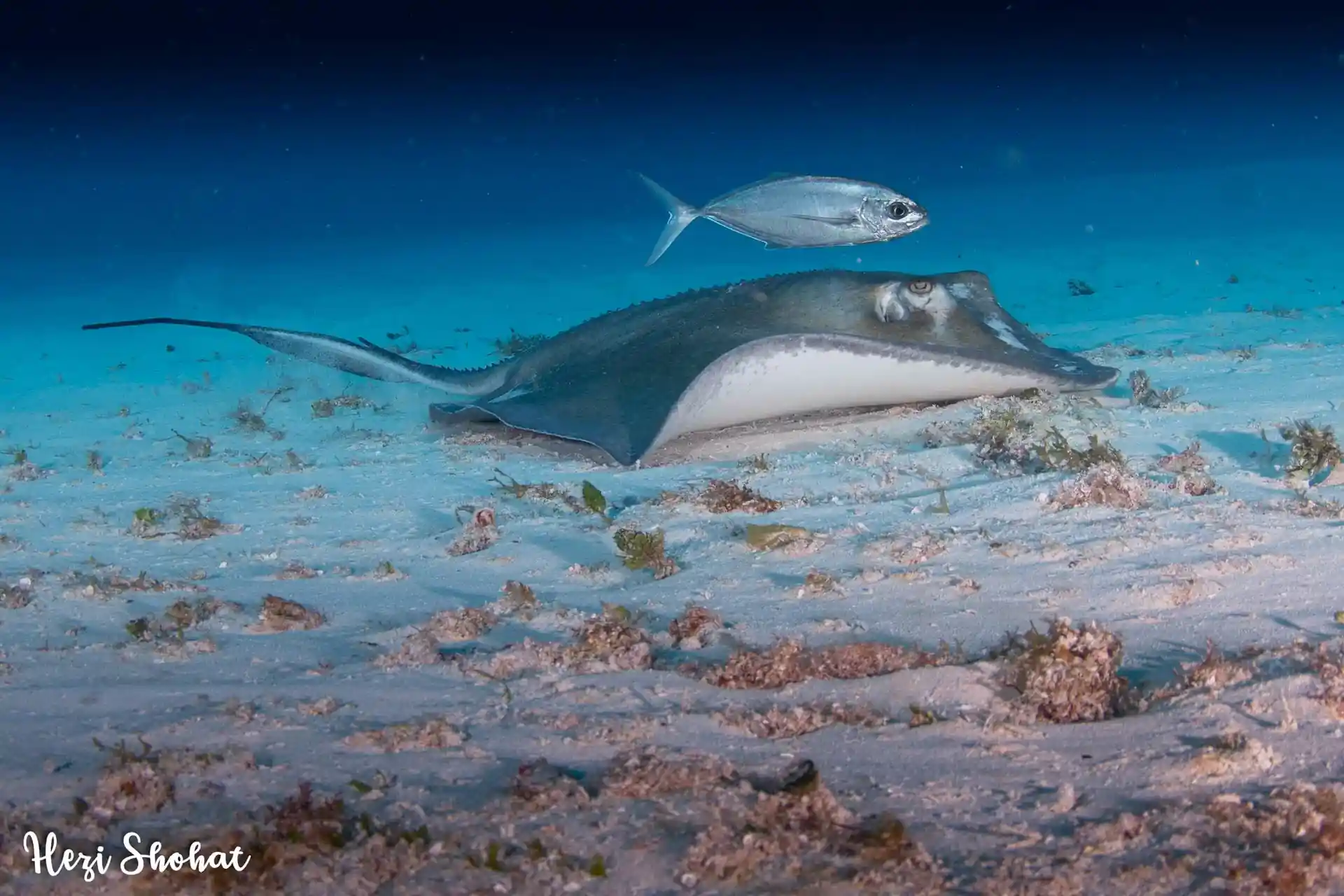 Dive site photo