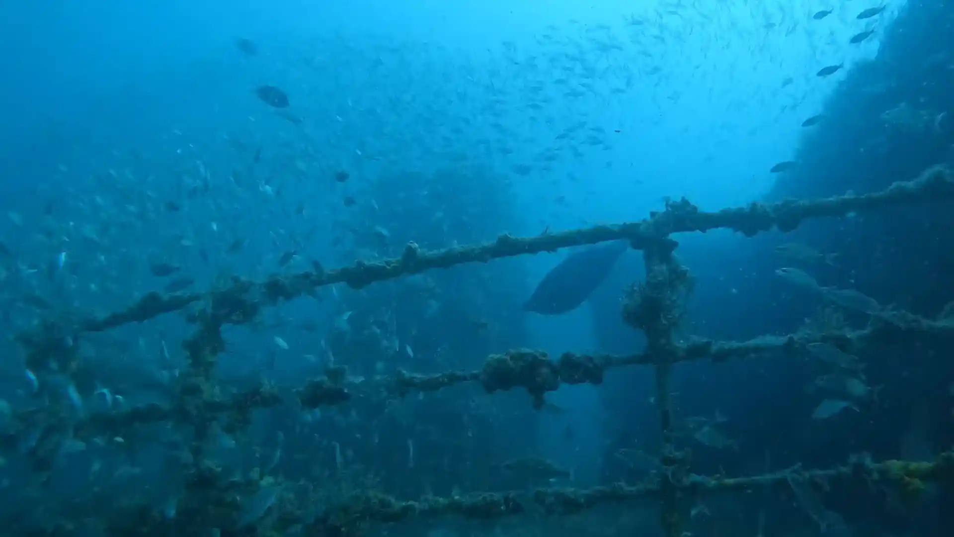 Dive site photo