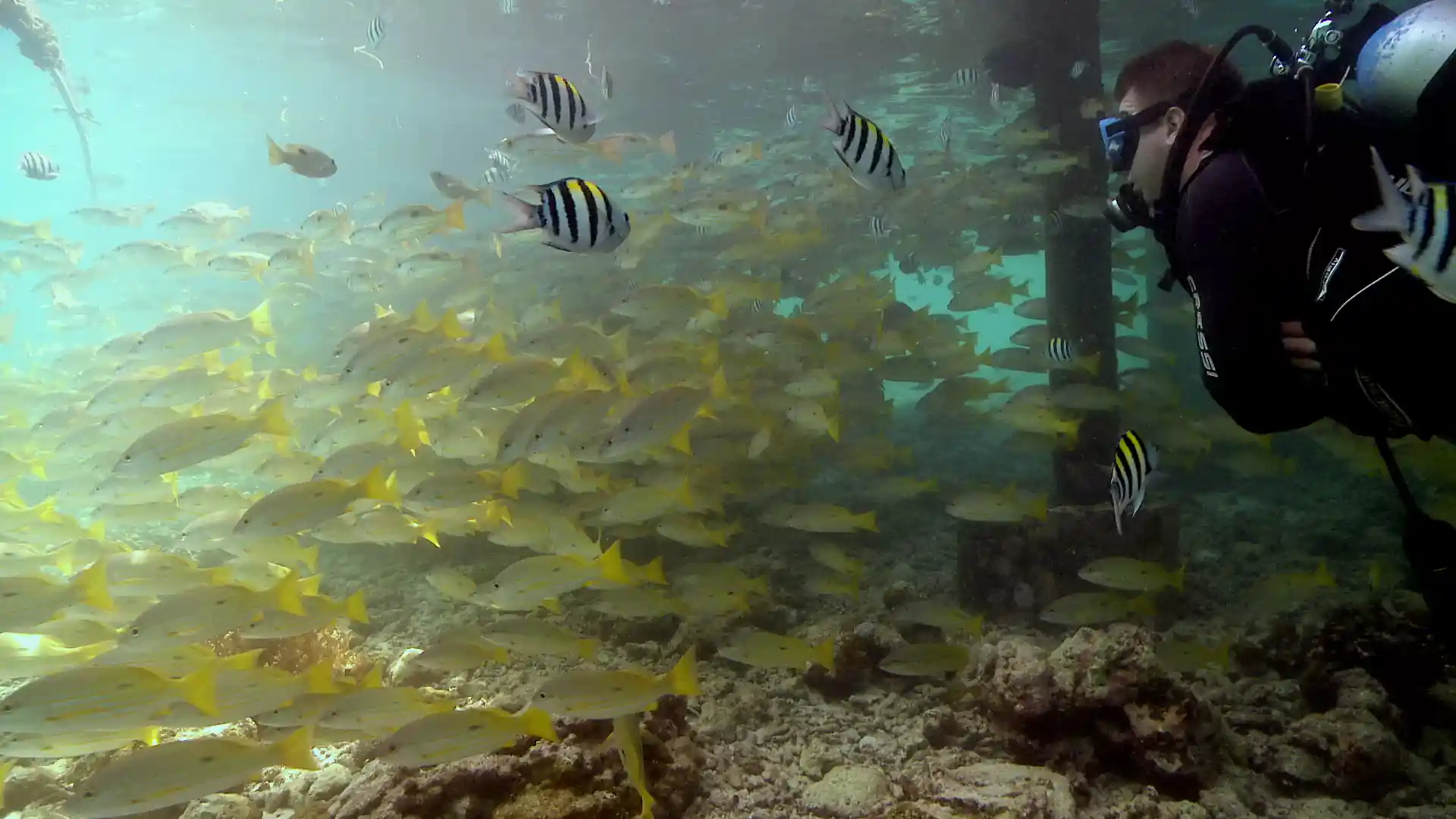 Foto des Tauchplatzes