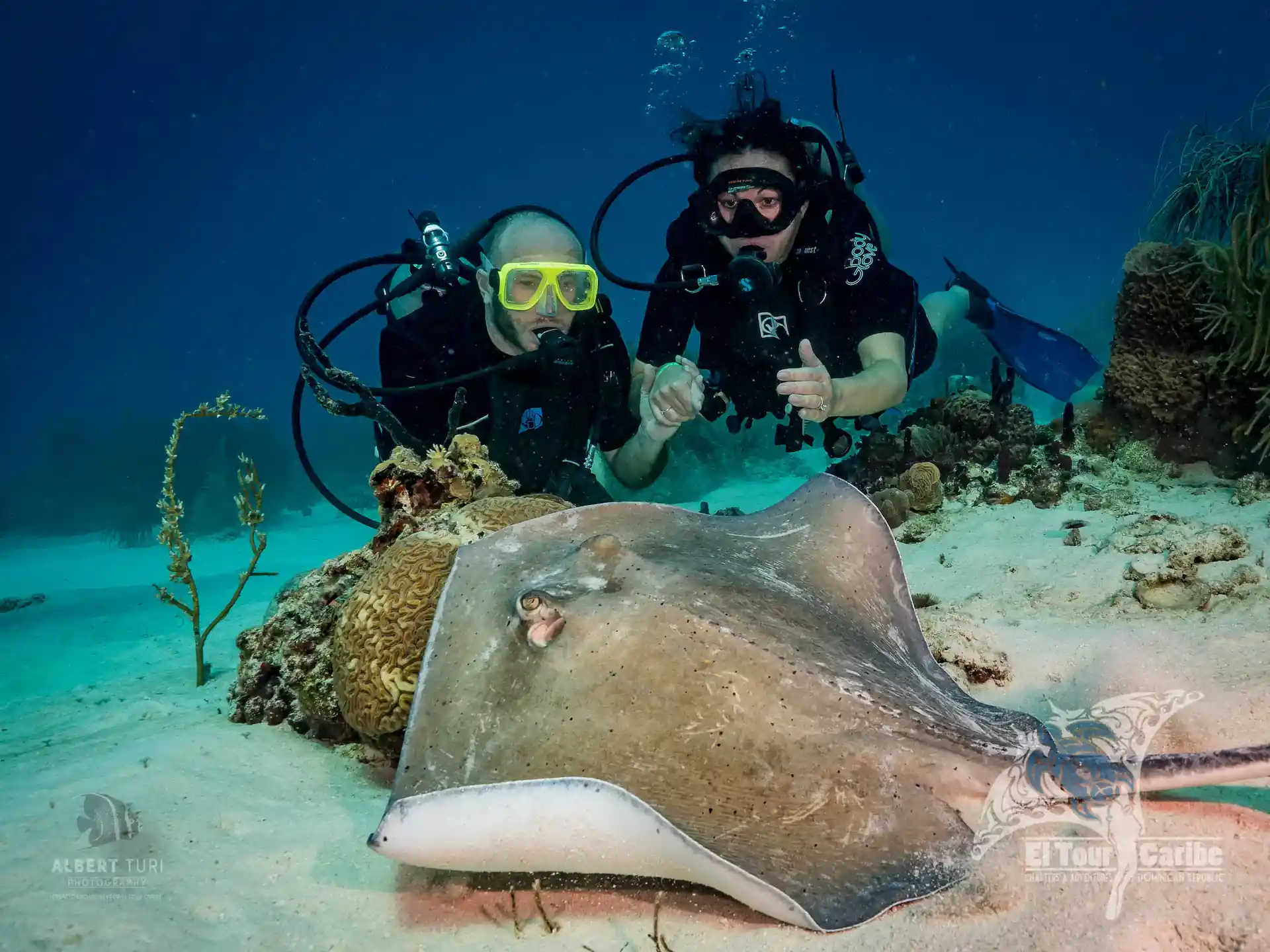 Practice your buoyancy as you get up Close and personal with Southern Stingrays during your course.