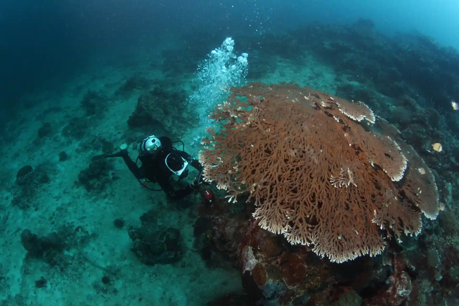 Dive site photo