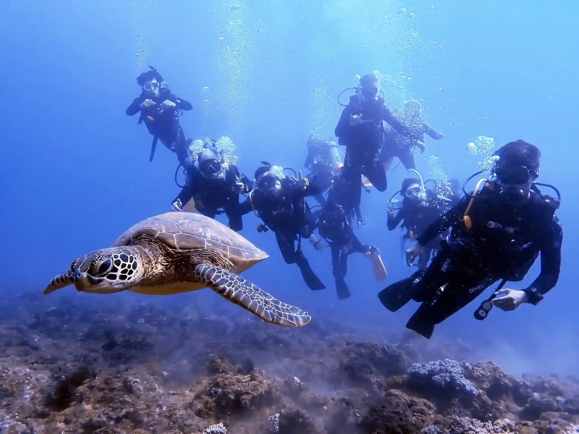 Dive shop photo