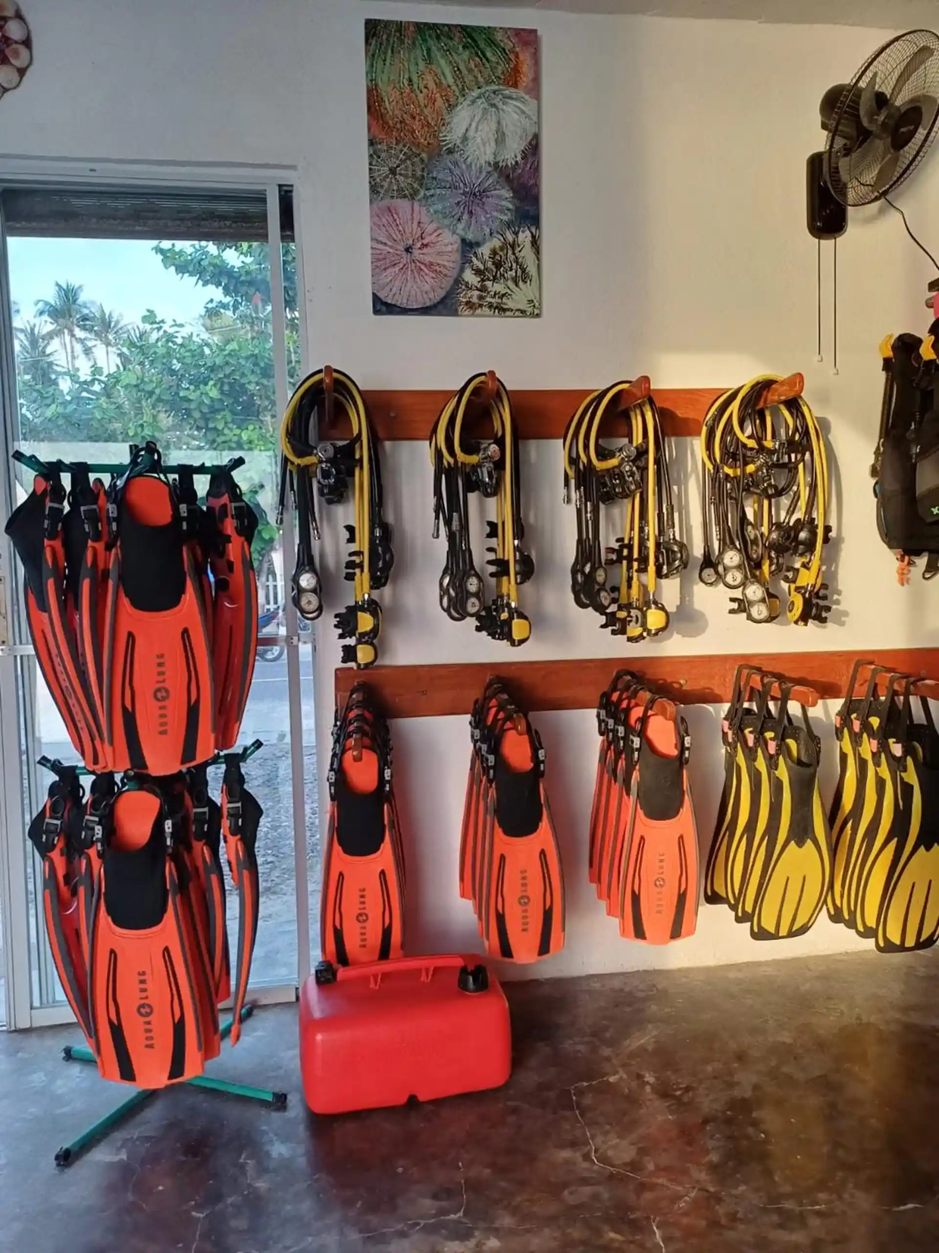 Dive shop photo