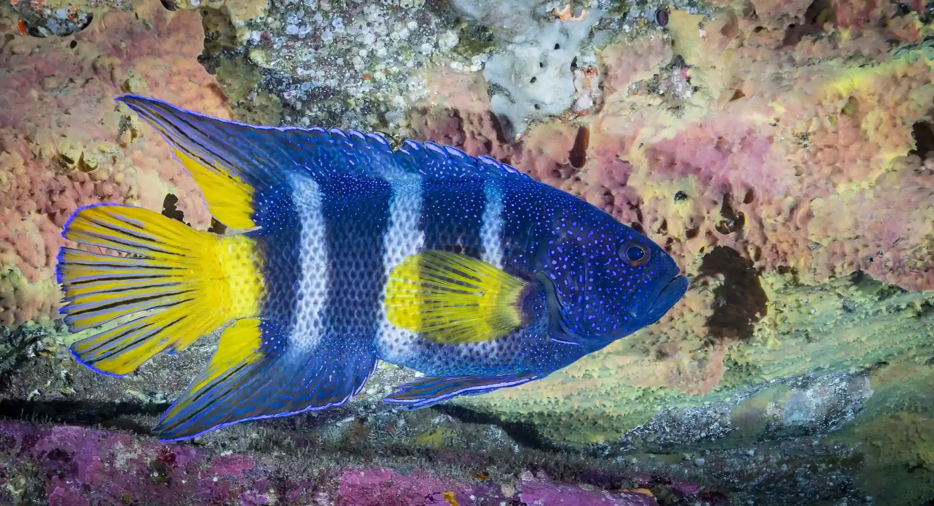 Dive site photo