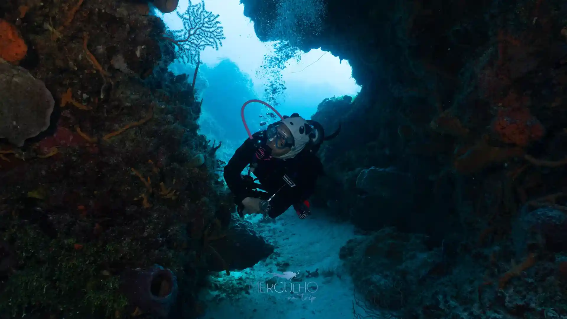 Dive site photo