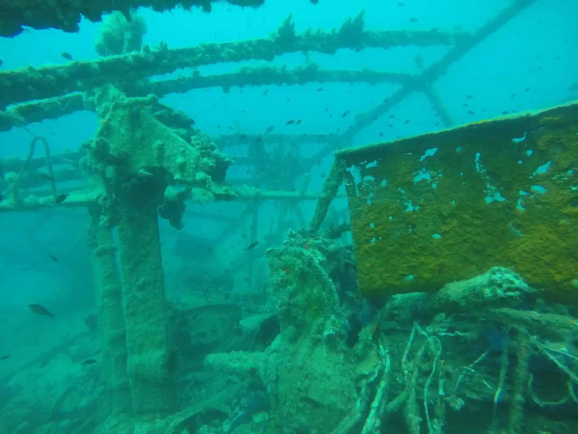 Dive site photo