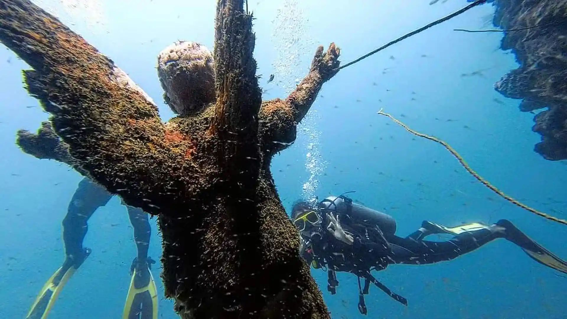 Foto de la tienda de buceo