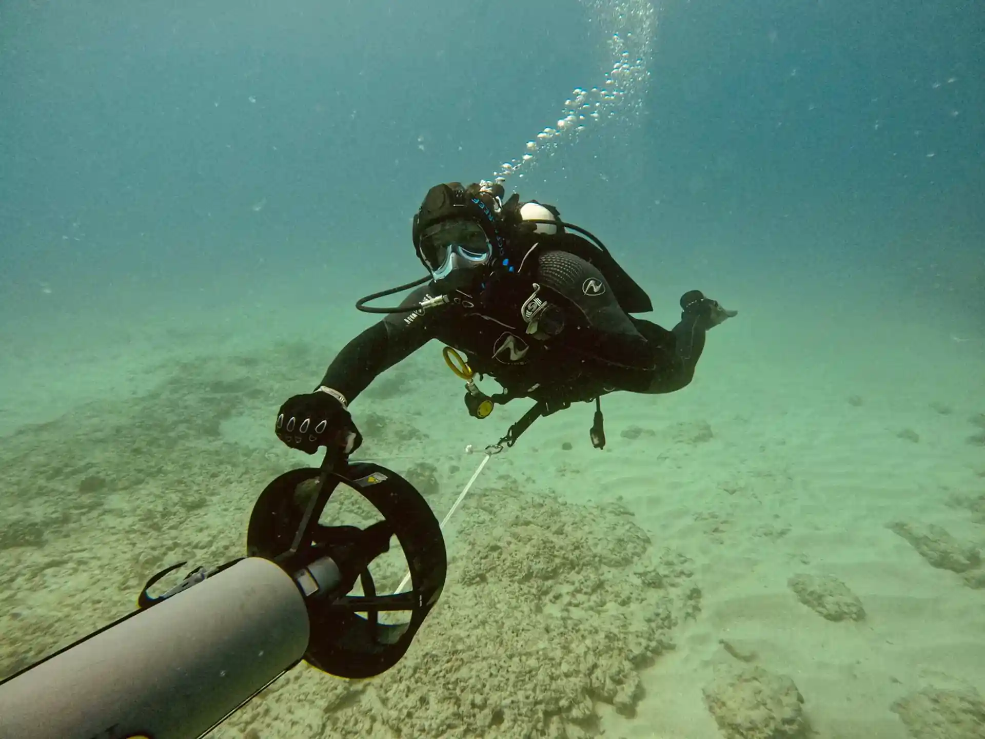 Foto de la actividad