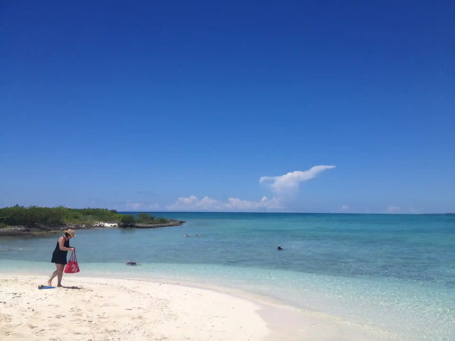 Photo de l'activité