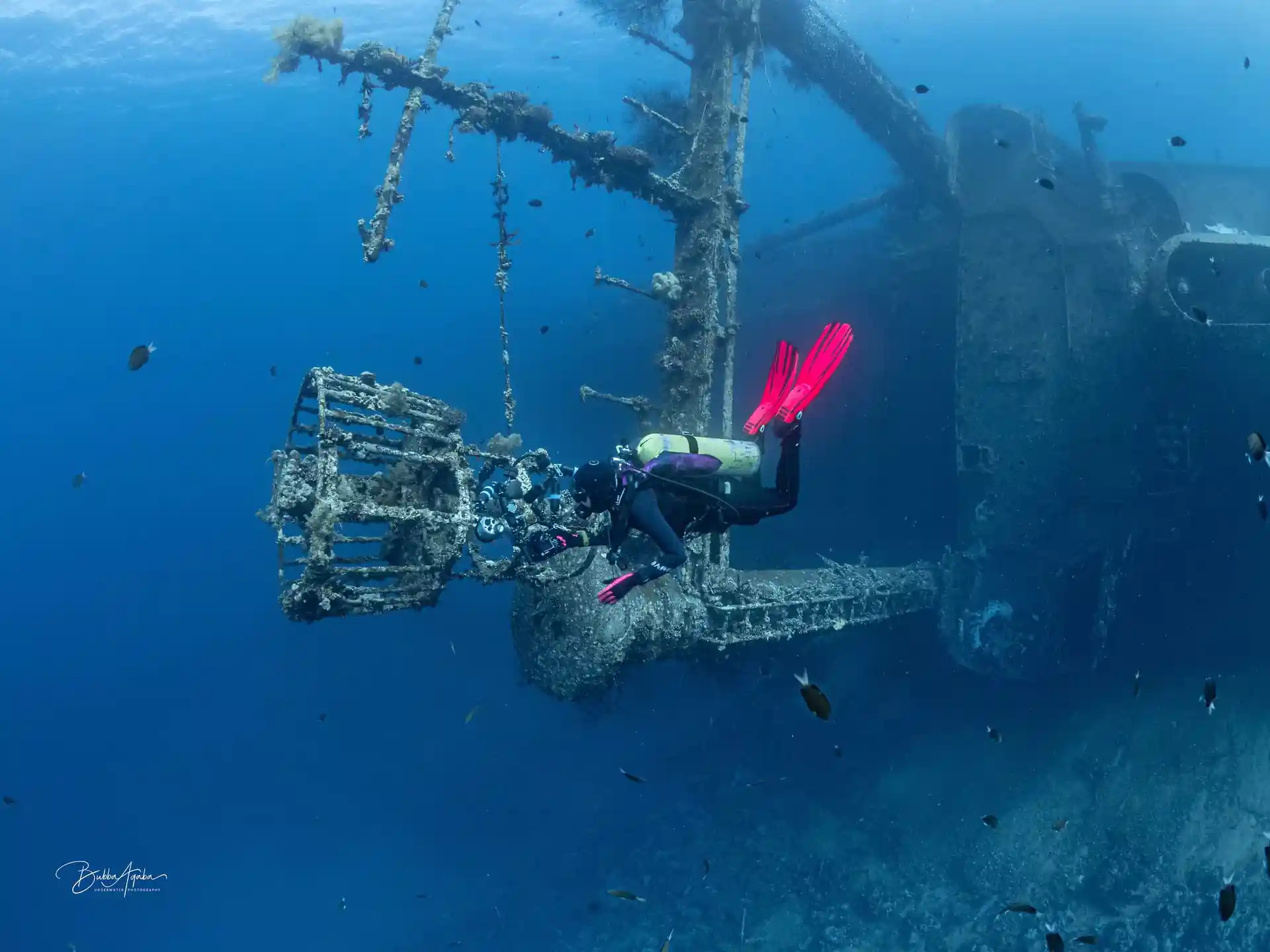 Dive site photo