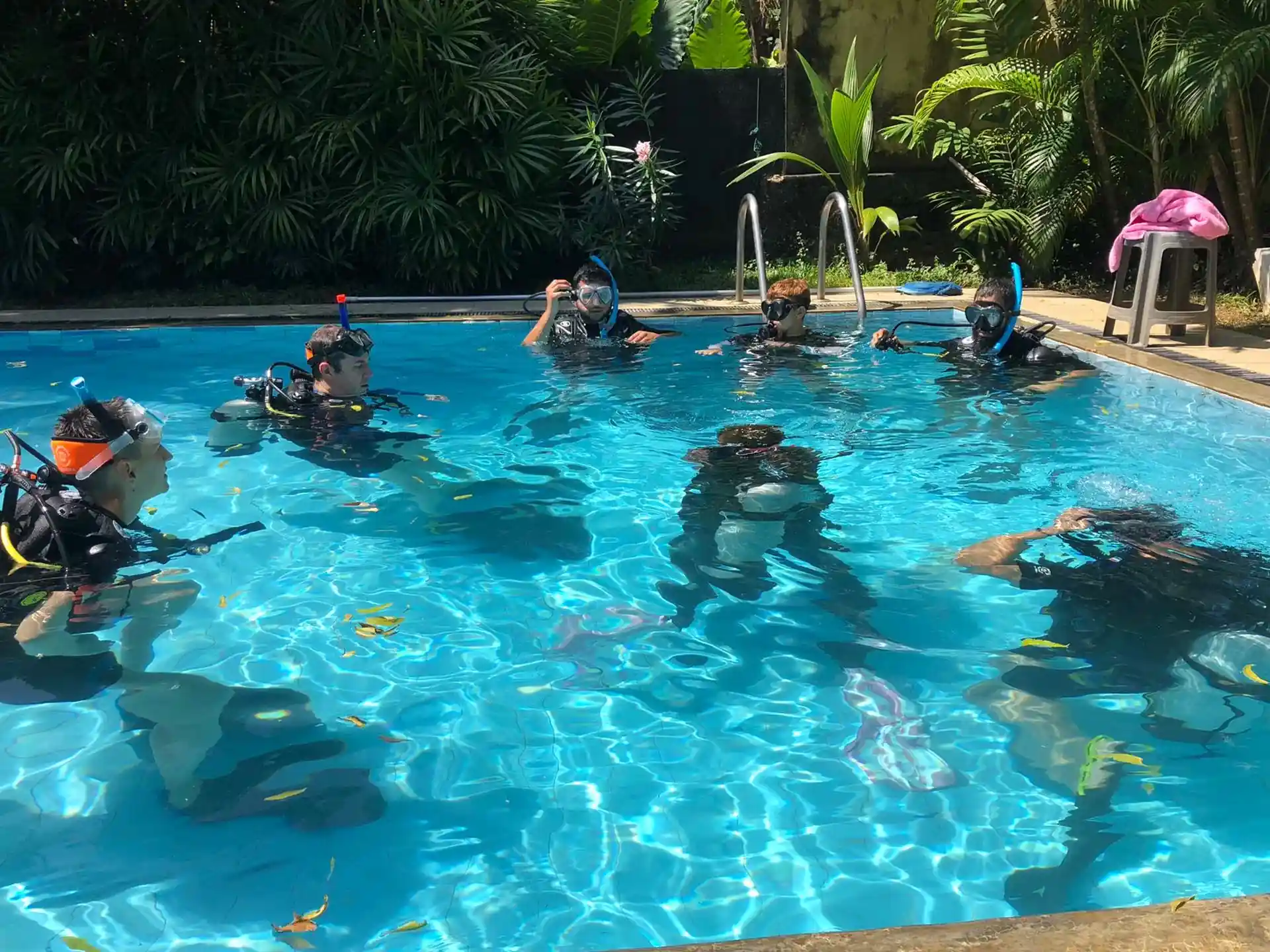 Confined water dives in the pool.