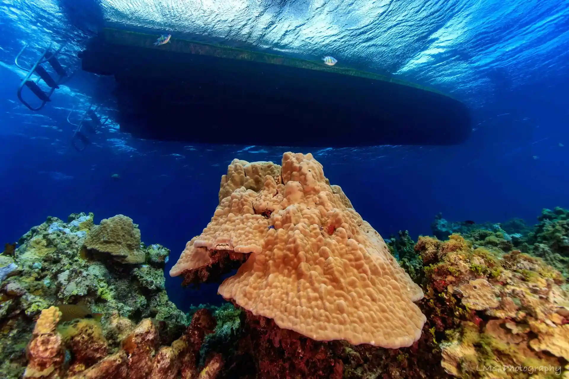ダイビングサイトの写真