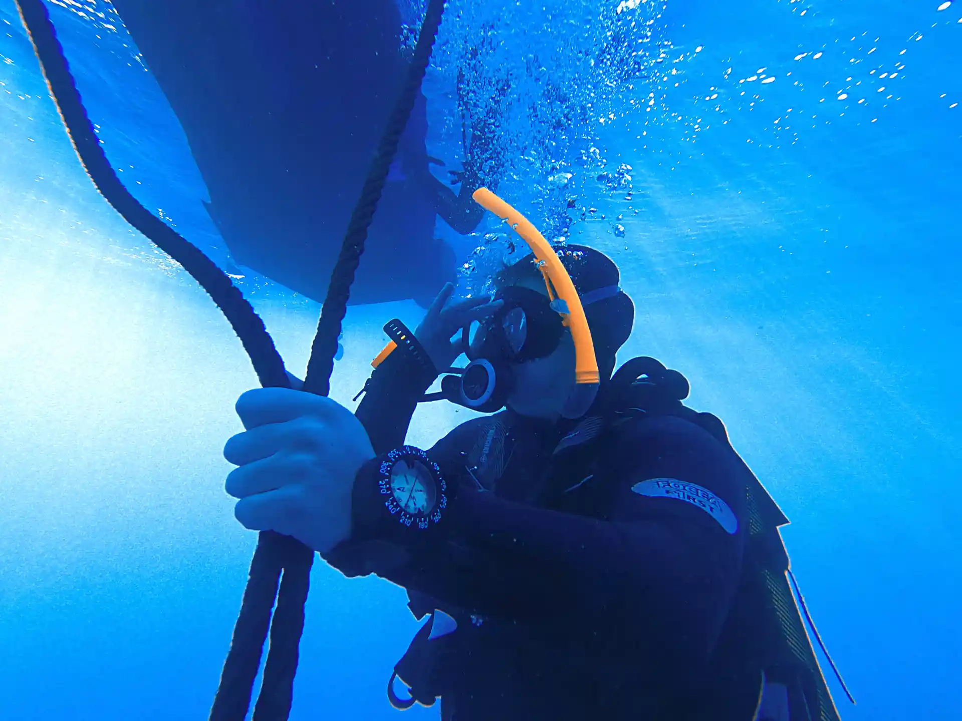 Photo de l'activité