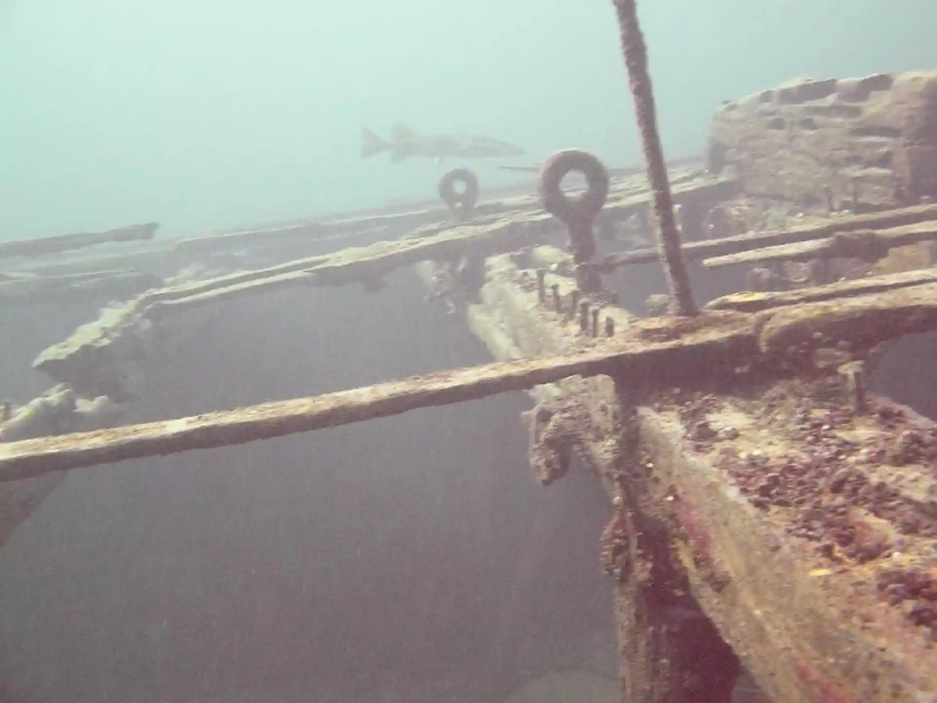 Dive site photo