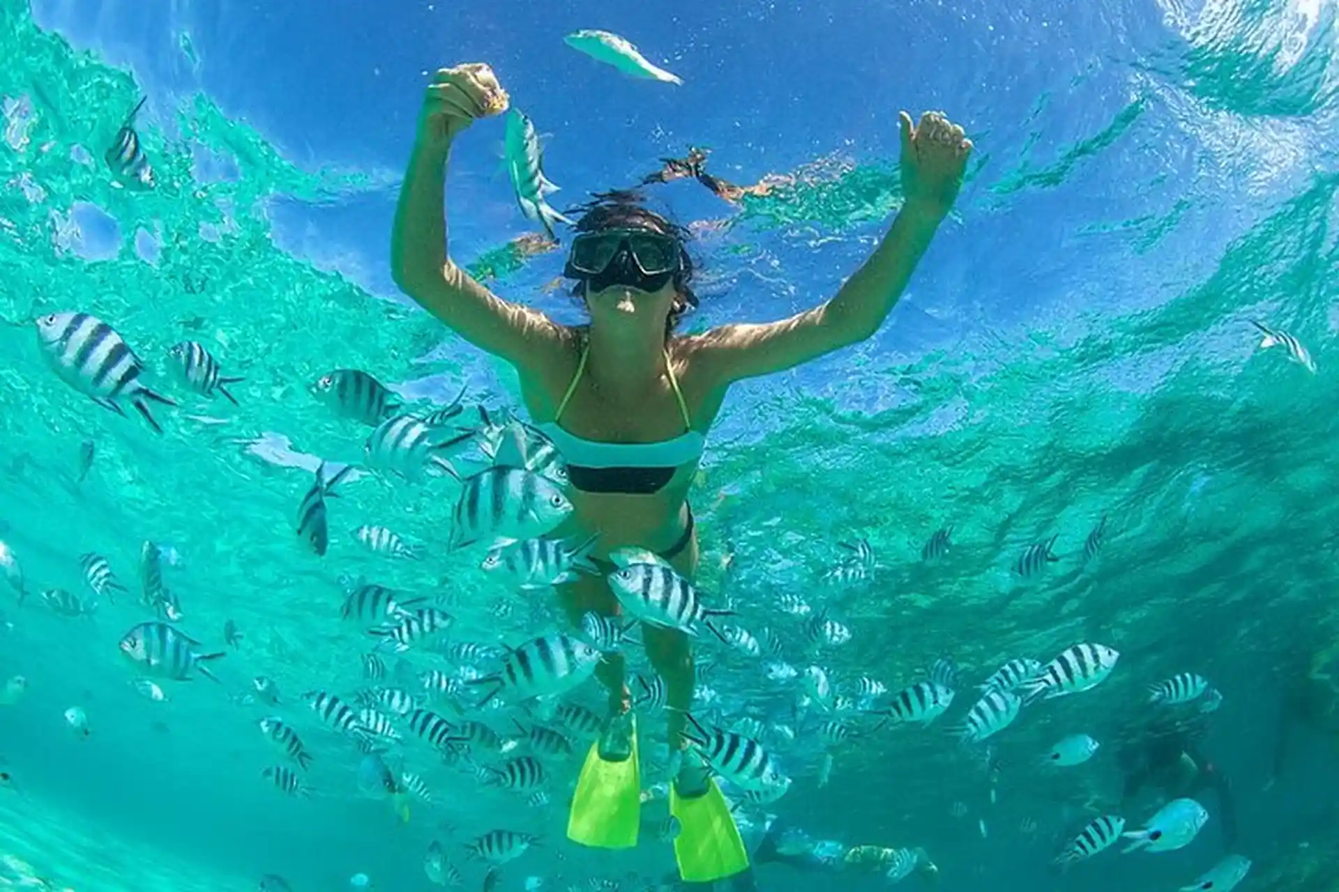 Nemo DIving Center