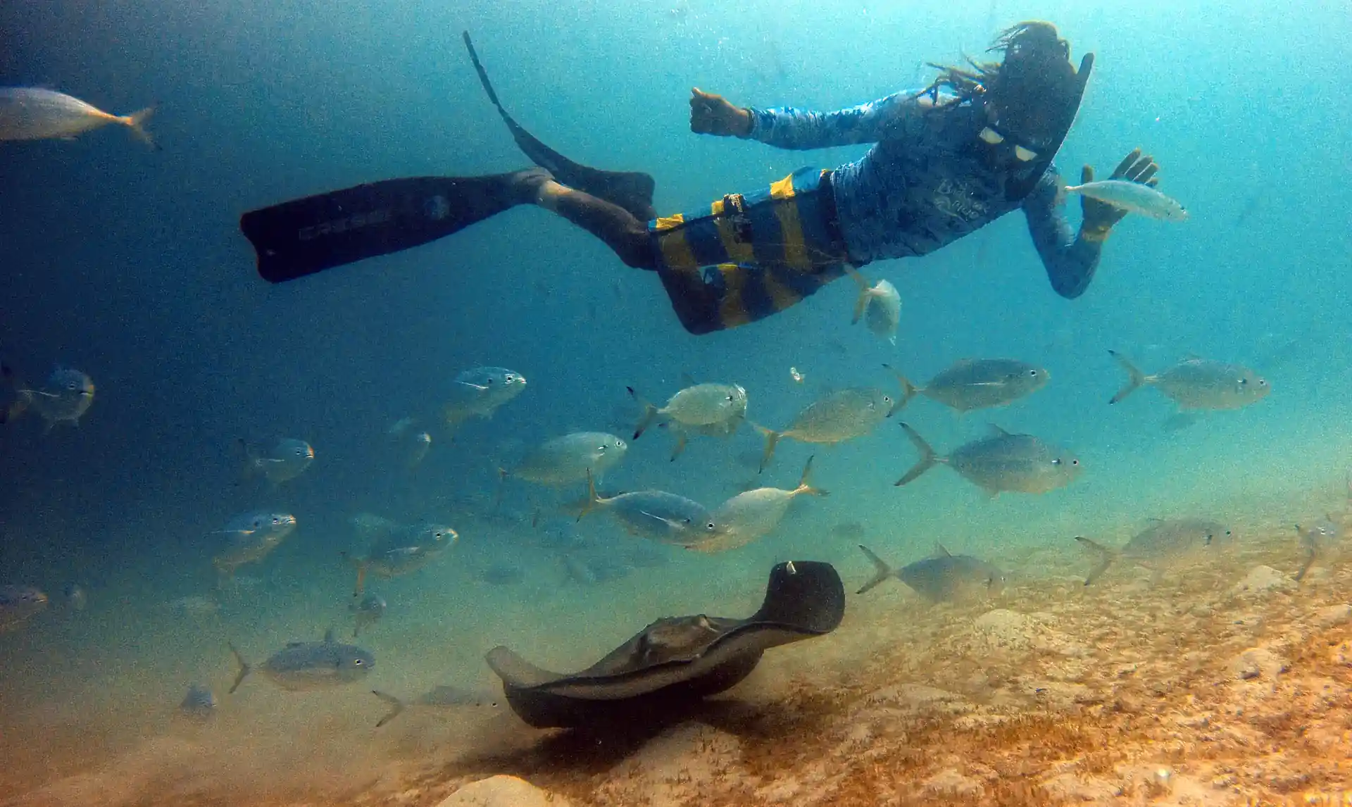 Dive site photo