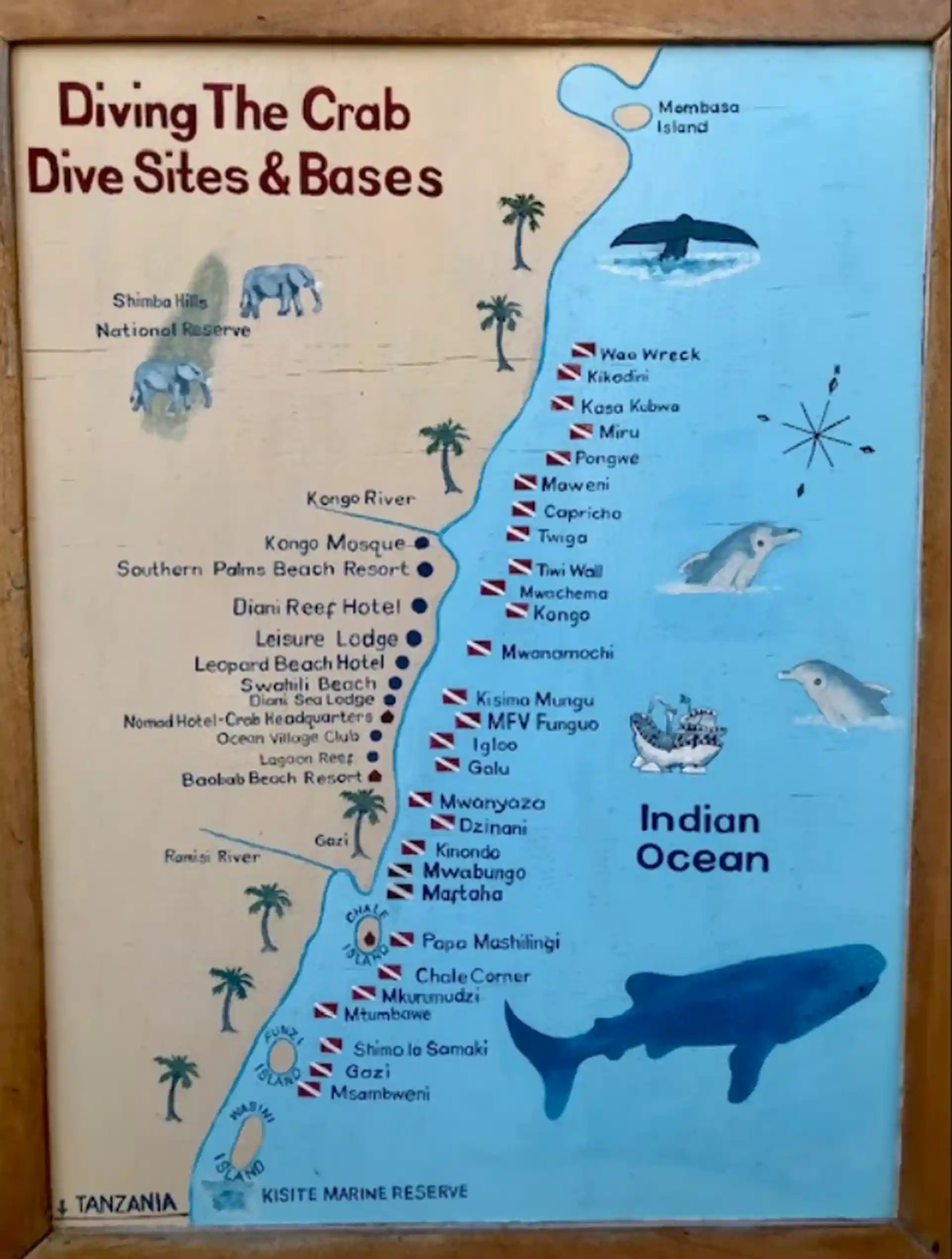 Many Dive sites