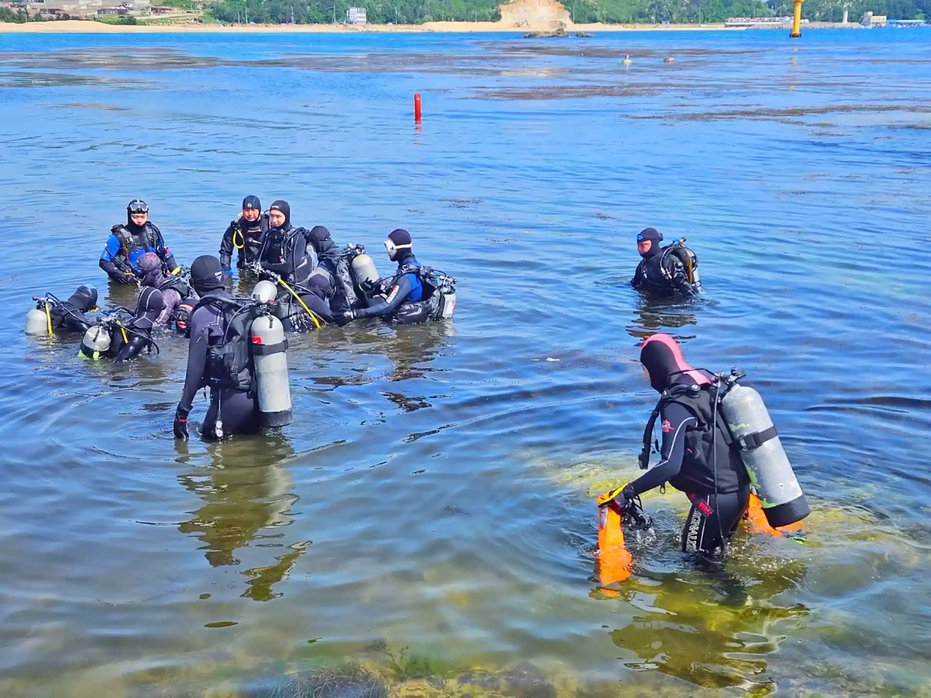 Dive shop photo