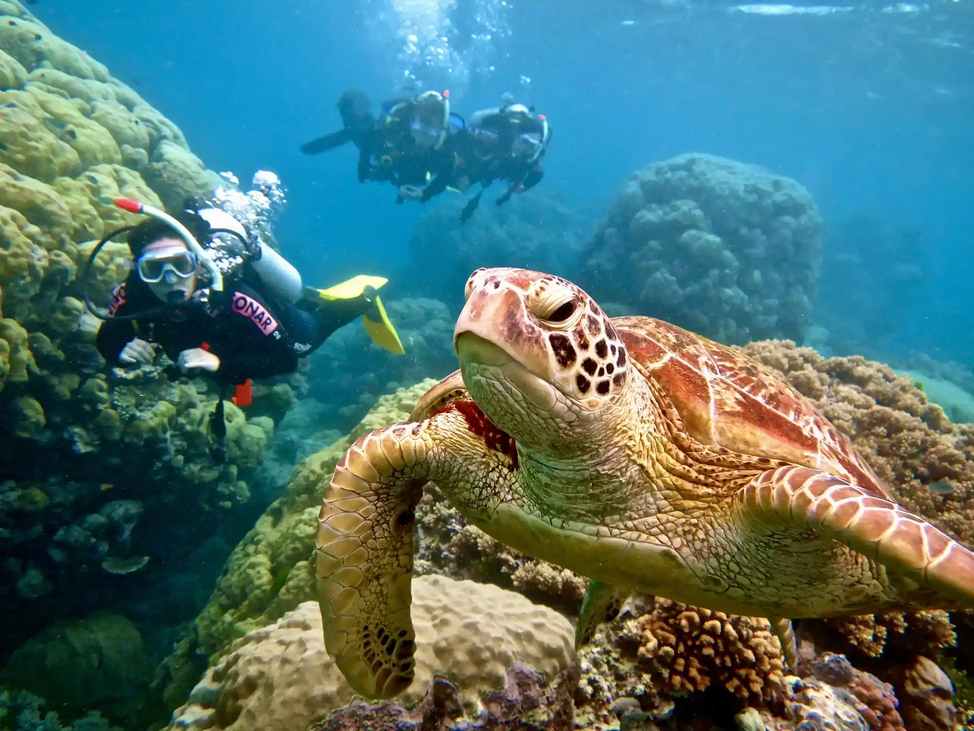 Foto des Tauchplatzes