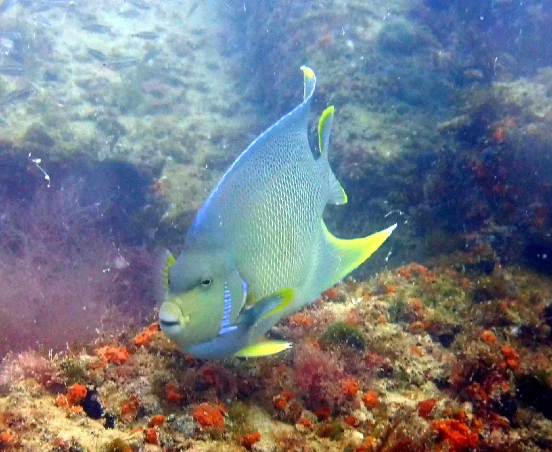 Dive site photo