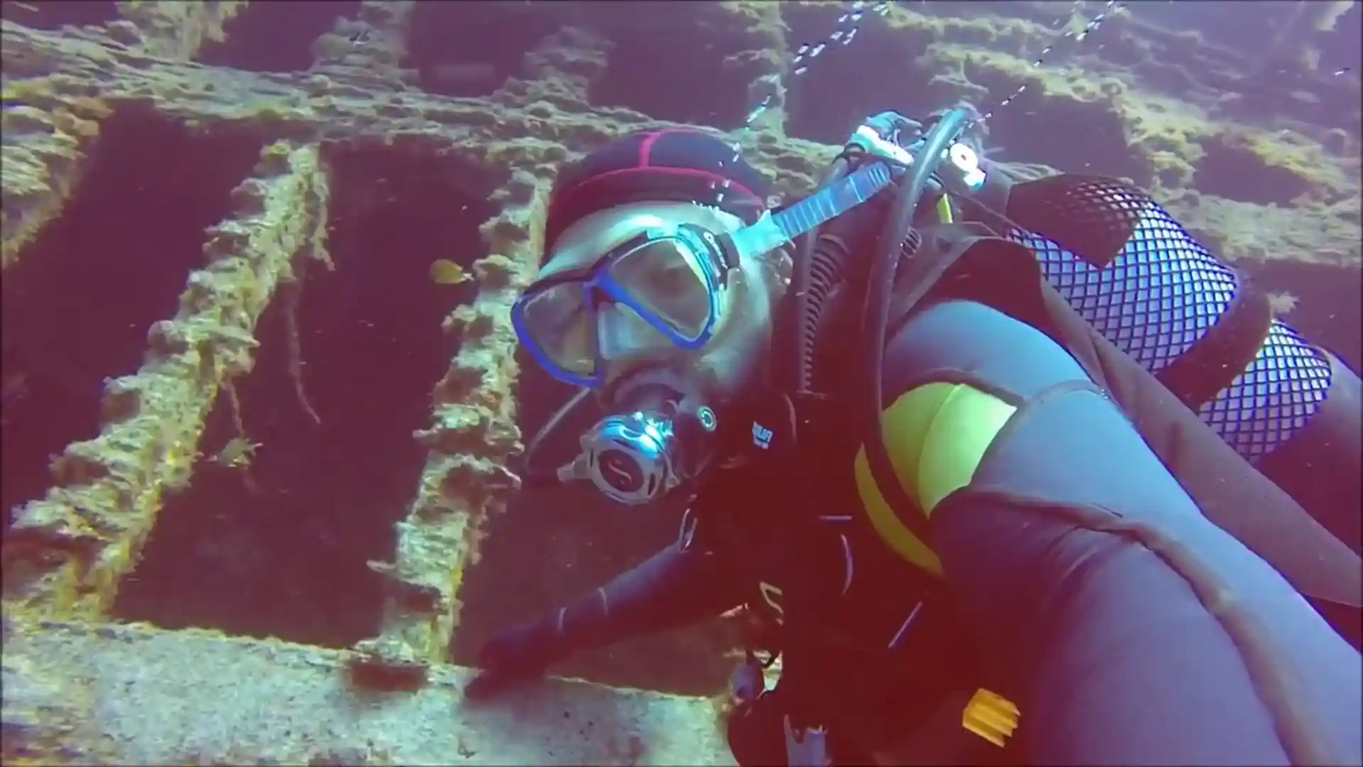 Hai voglia di un'immersione su un relitto?