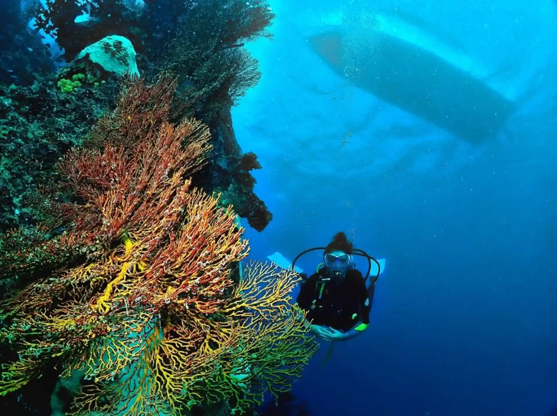 Dive shop photo