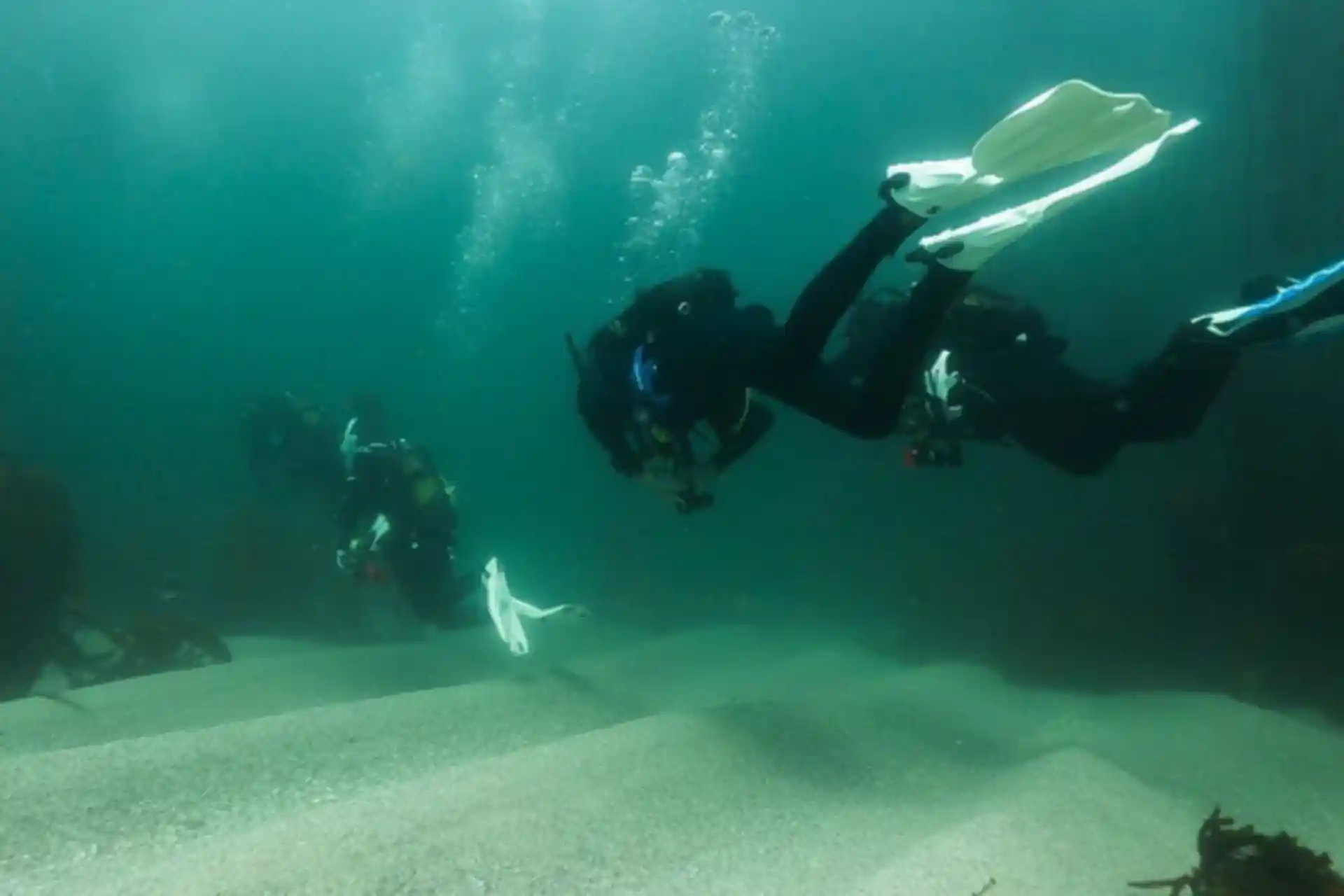 Foto de la actividad