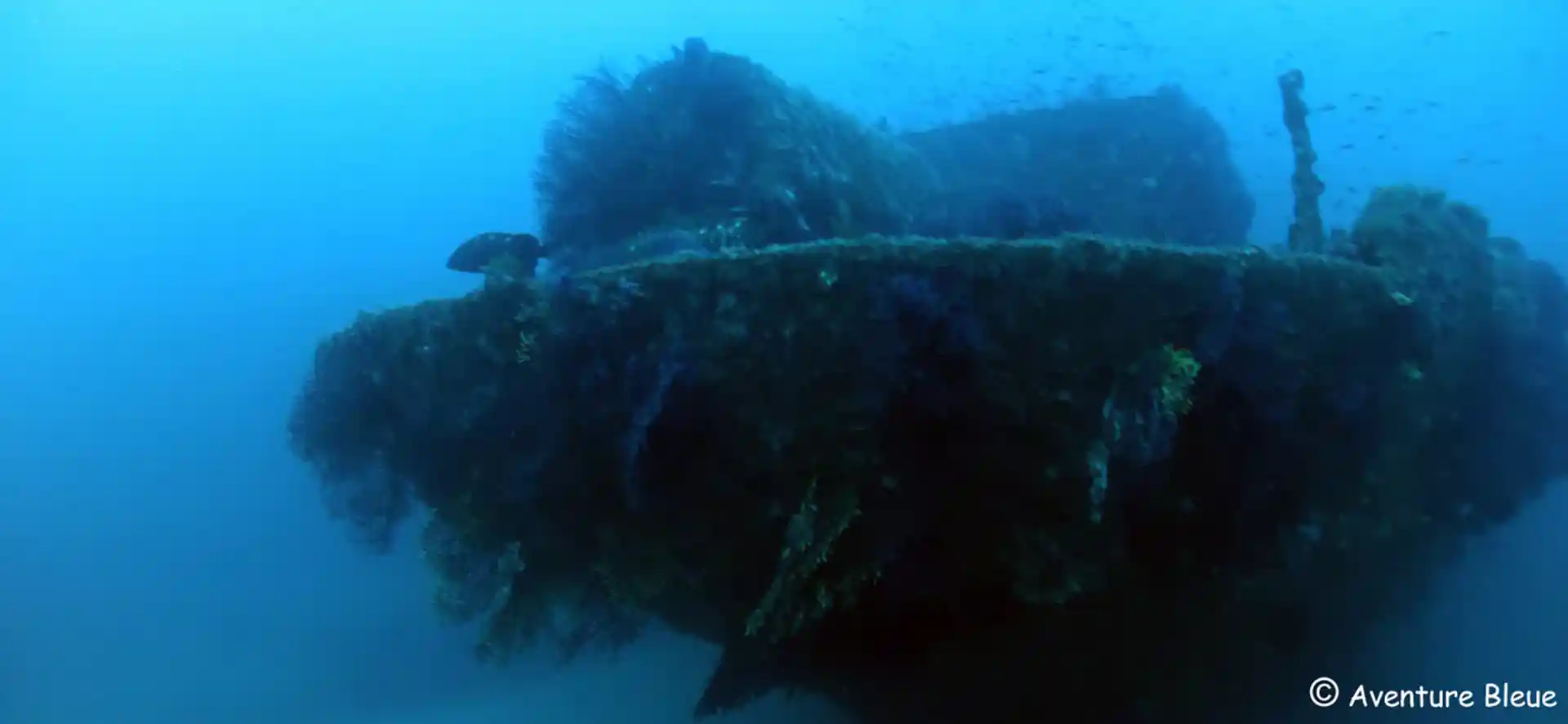 ダイビングサイトの写真